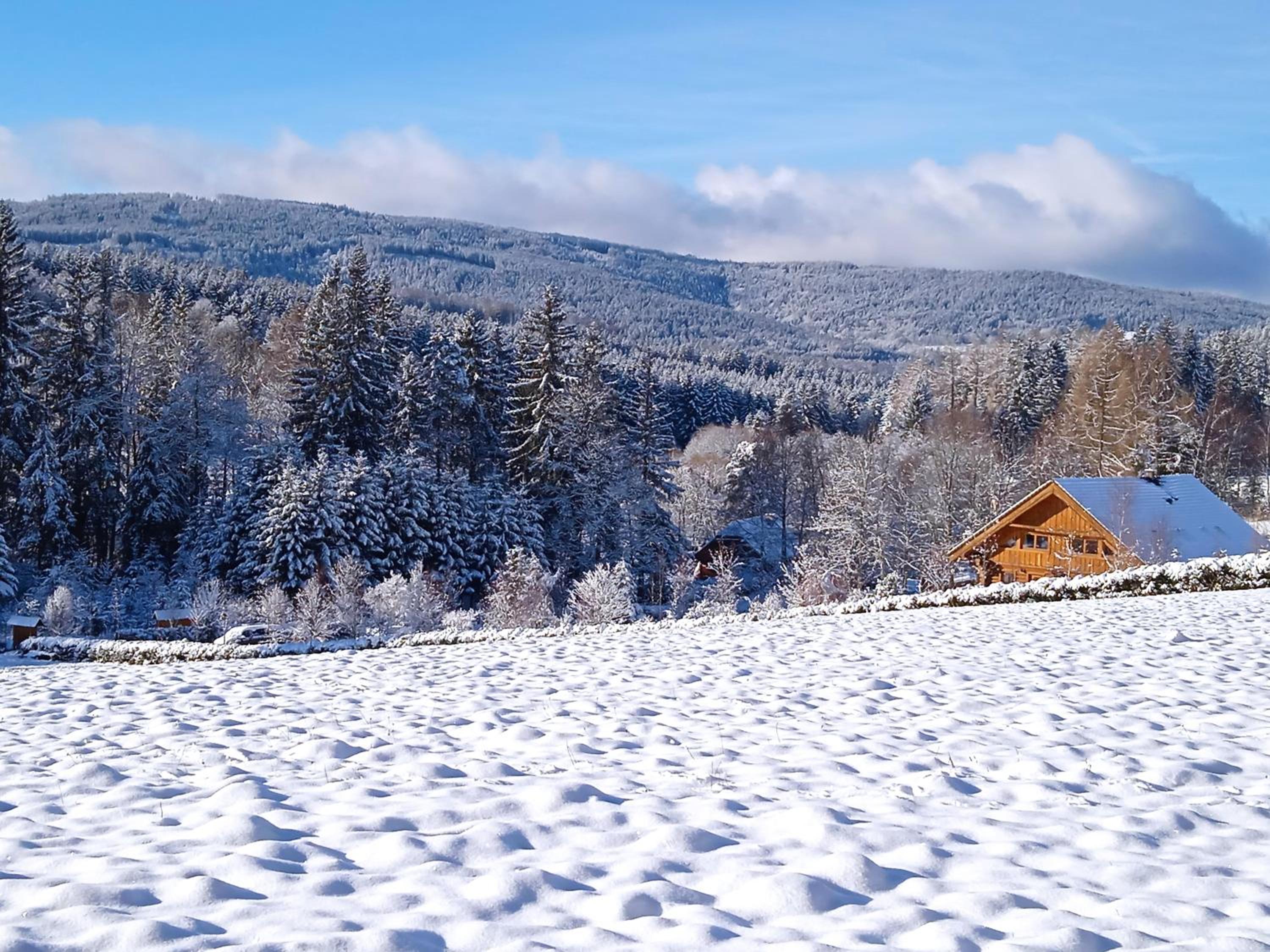 Srub Javorná - apartmány Šumava view 4