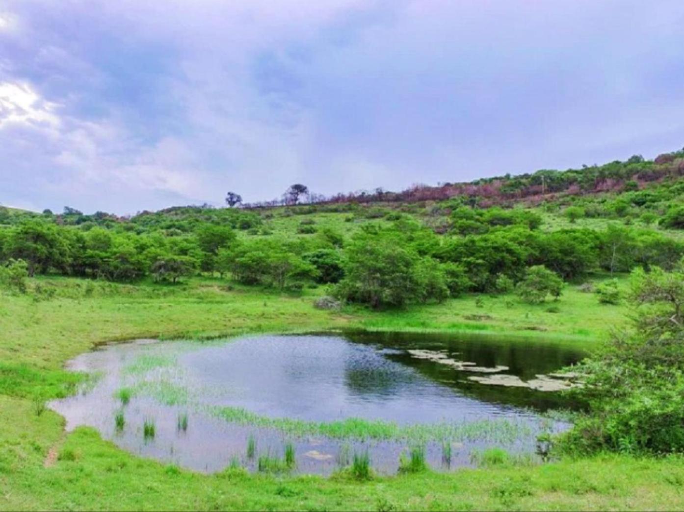 Simbonga Game Reserve & Sanctuary view 4