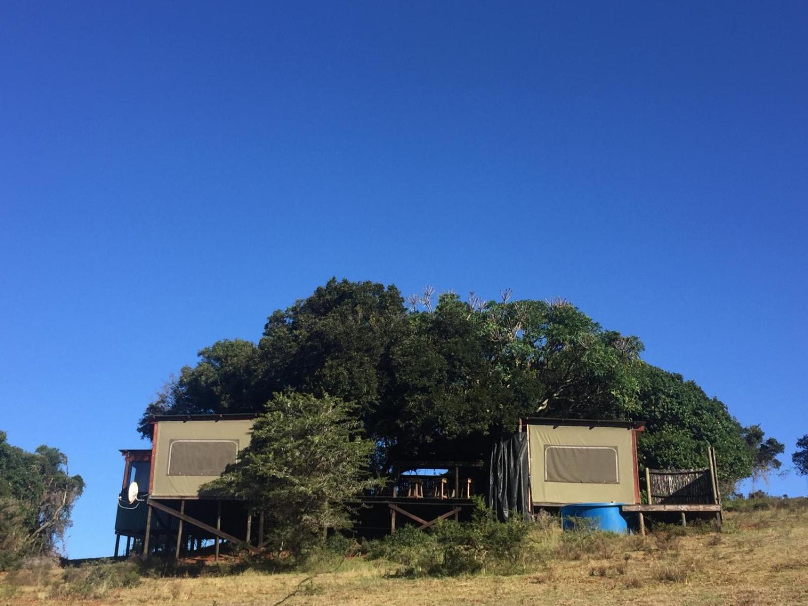 Simbonga Game Reserve & Sanctuary view 3
