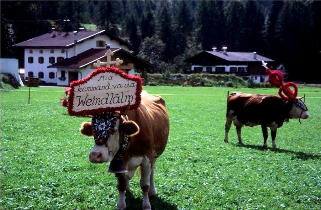 Weindlhof