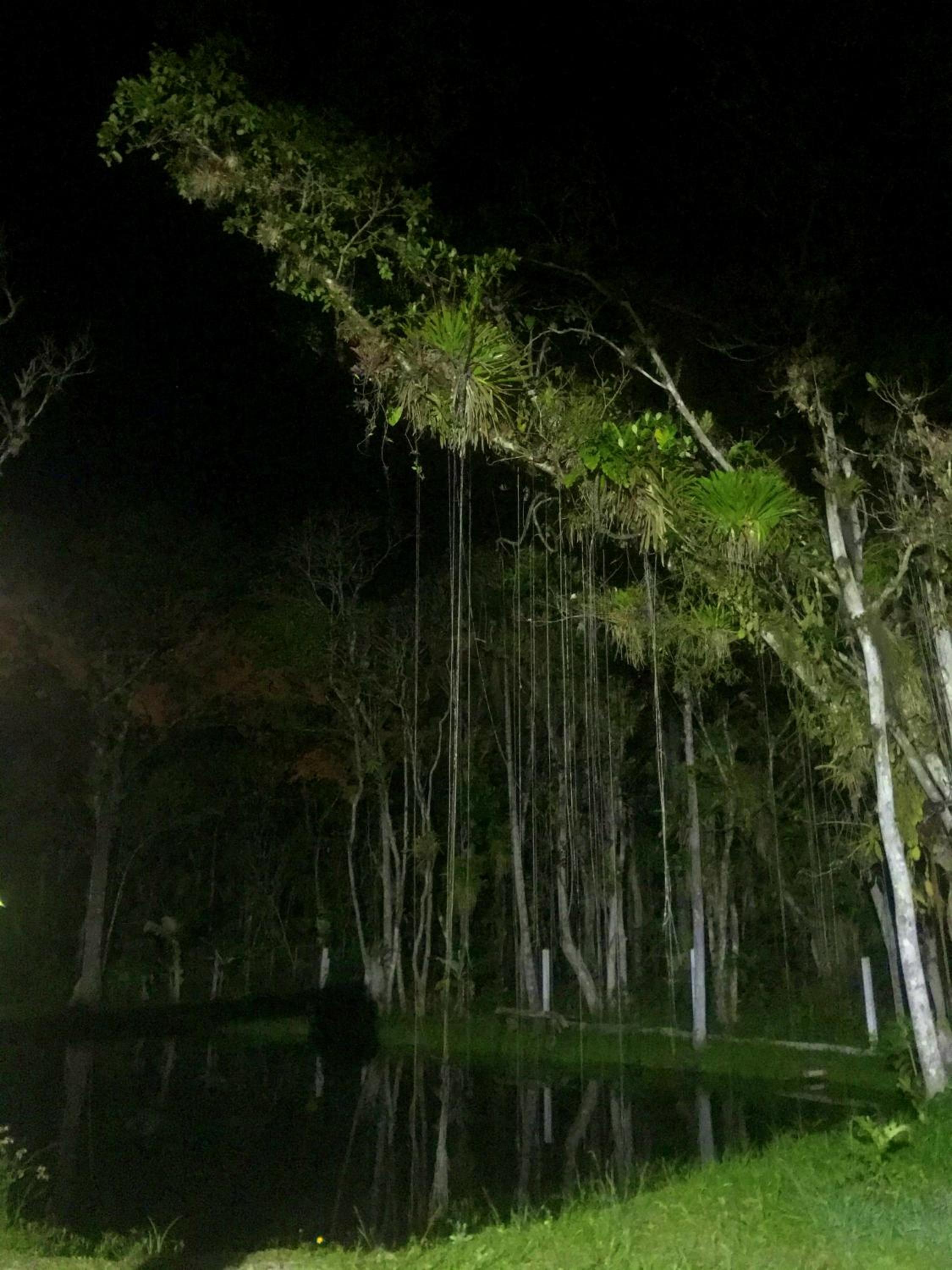 Casa Chácara Zulin's, descanso e sossego
