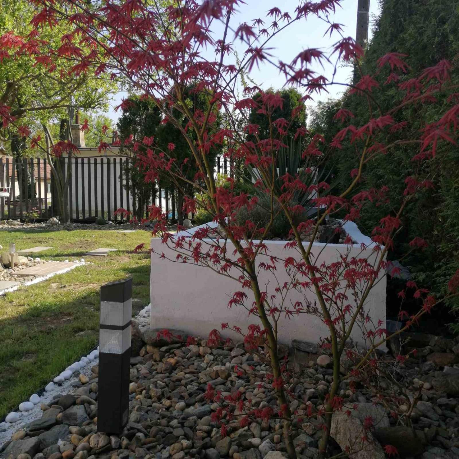 Photo 49