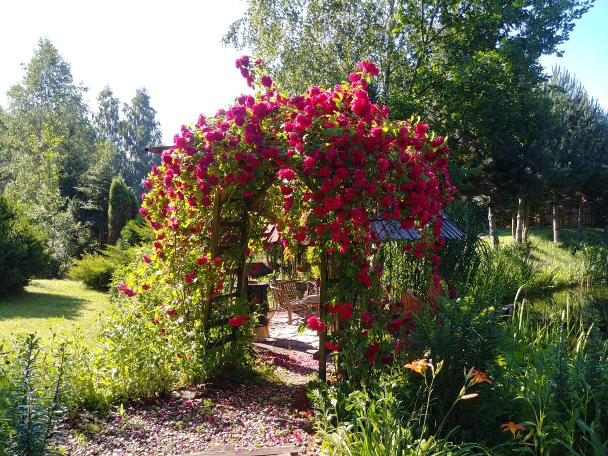 Photo 21