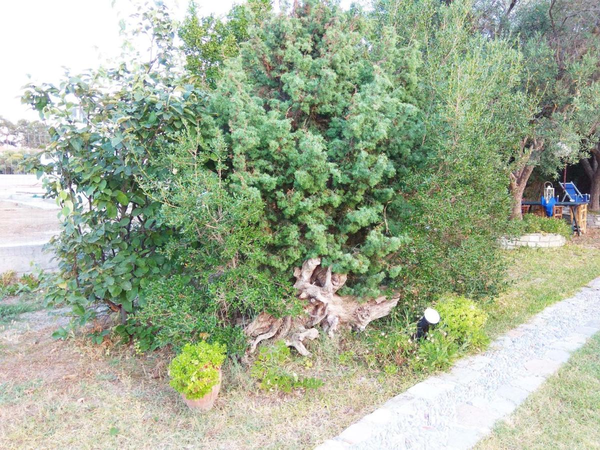 Photo 25