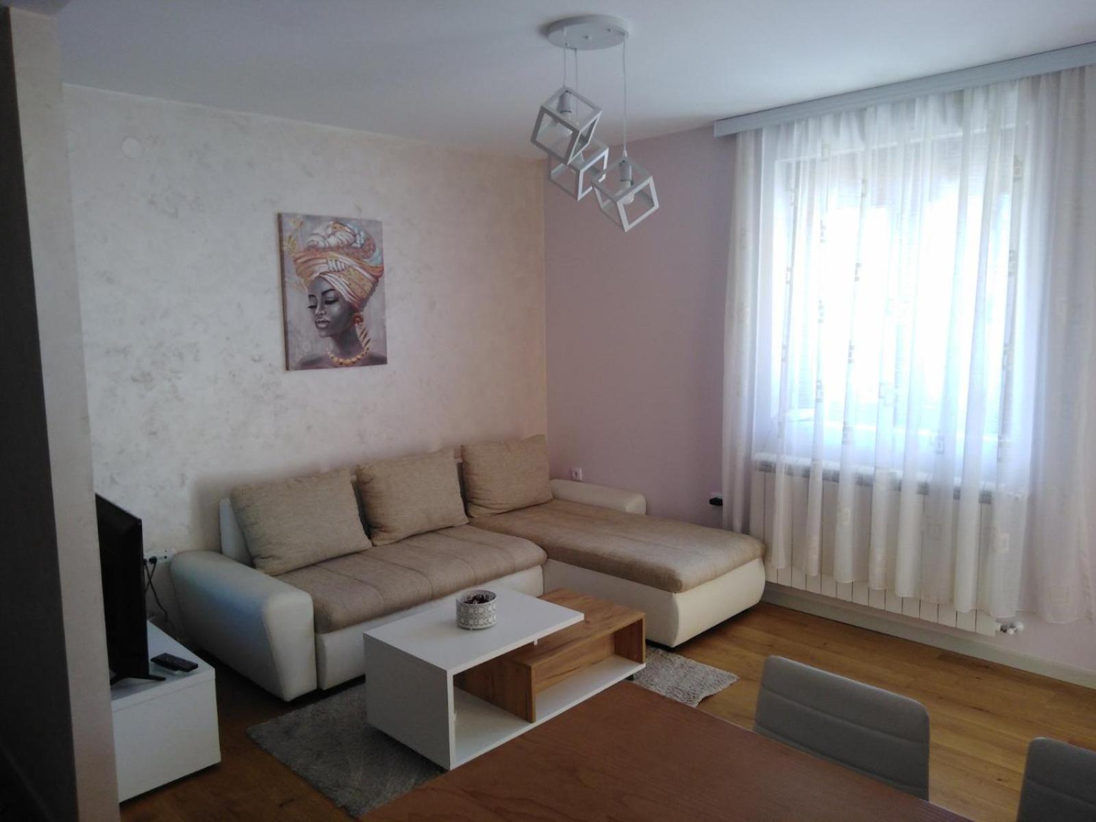 Apartman Emma Vrnjačka Banja view 4