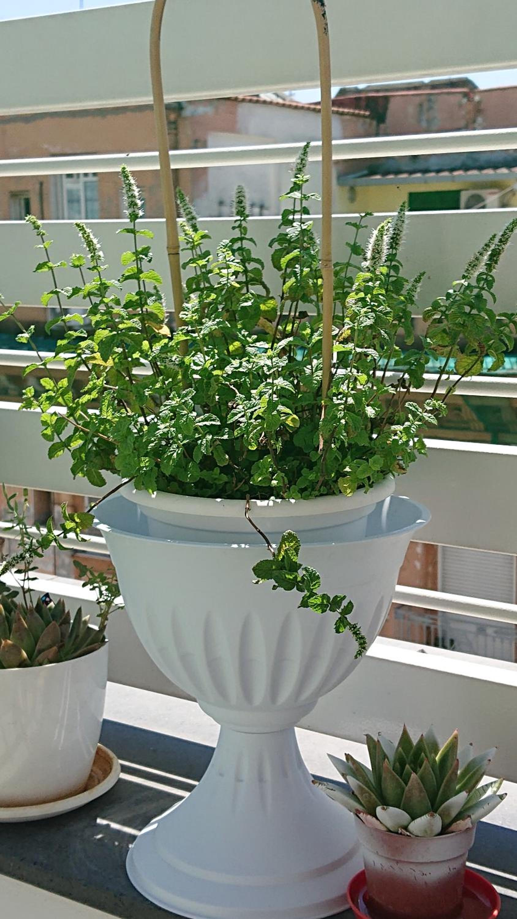 Sky-Terrace in Central Station, 3 bedrooms