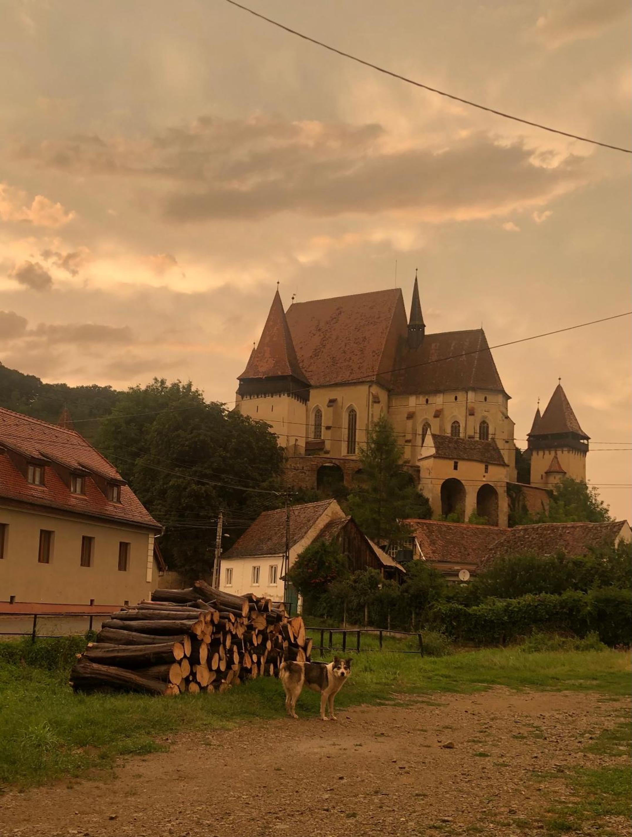 Photo 50