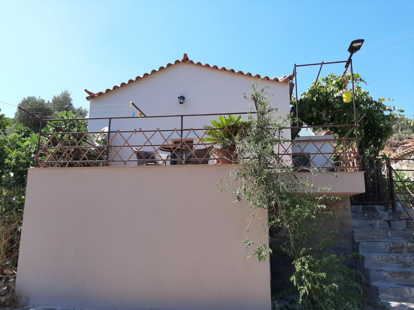 Photo 12
