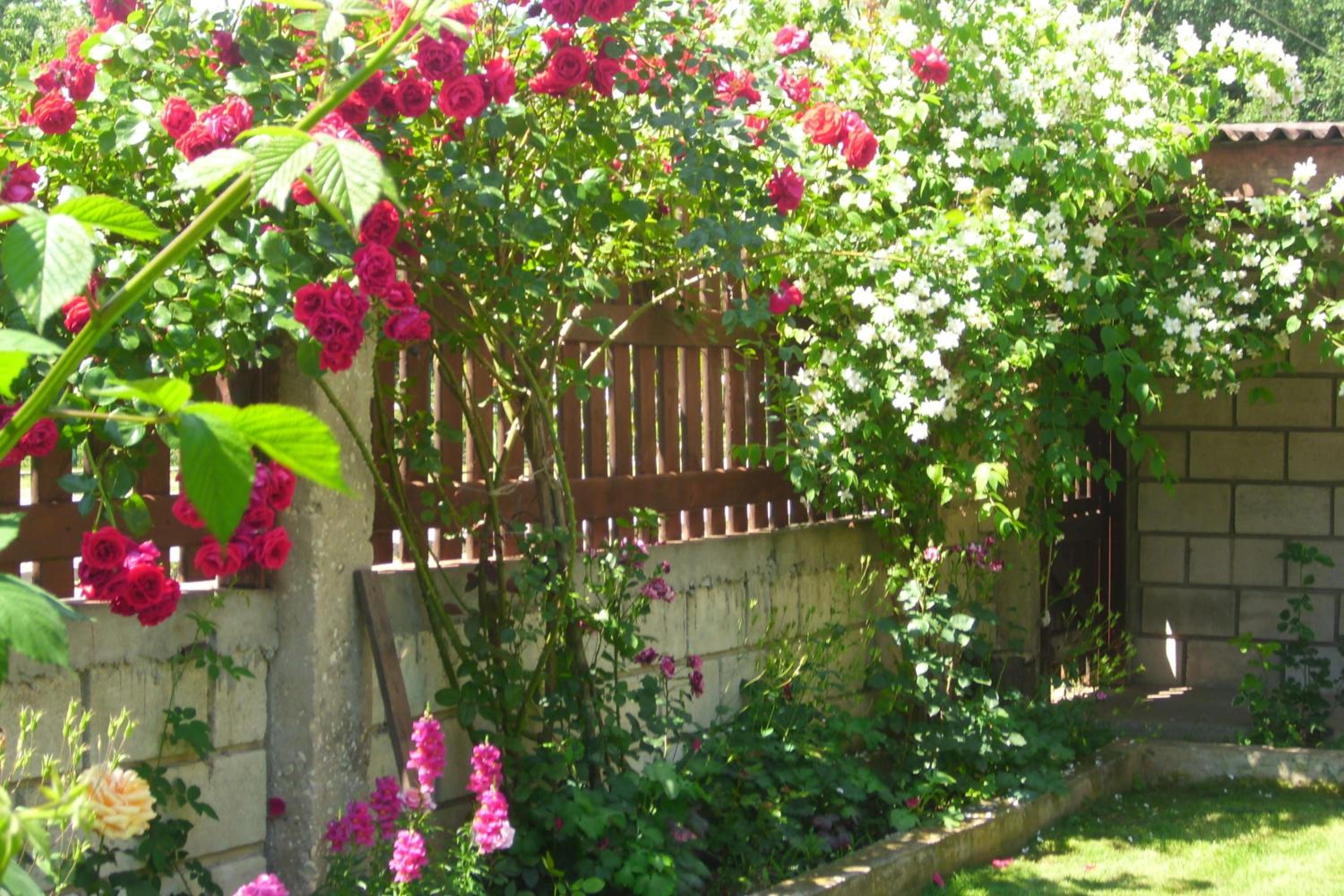 Elida Guest House
