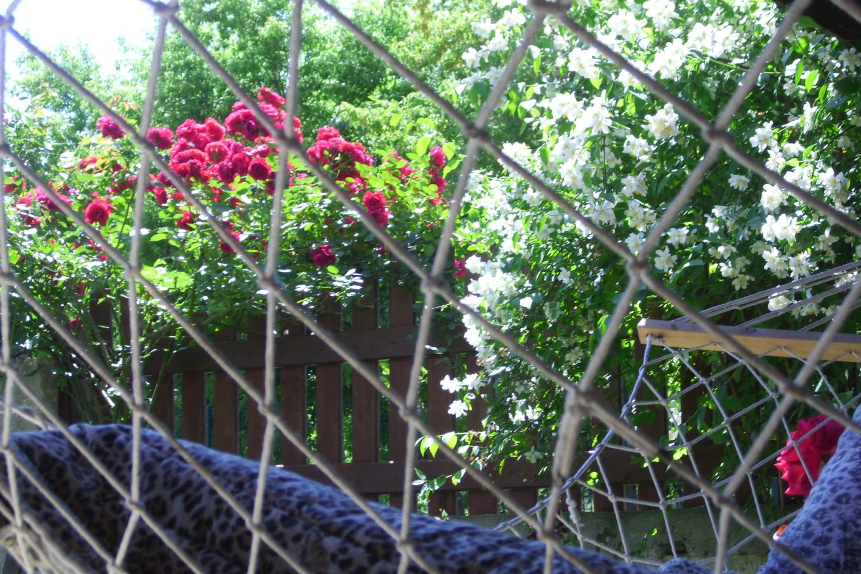 Elida Guest House