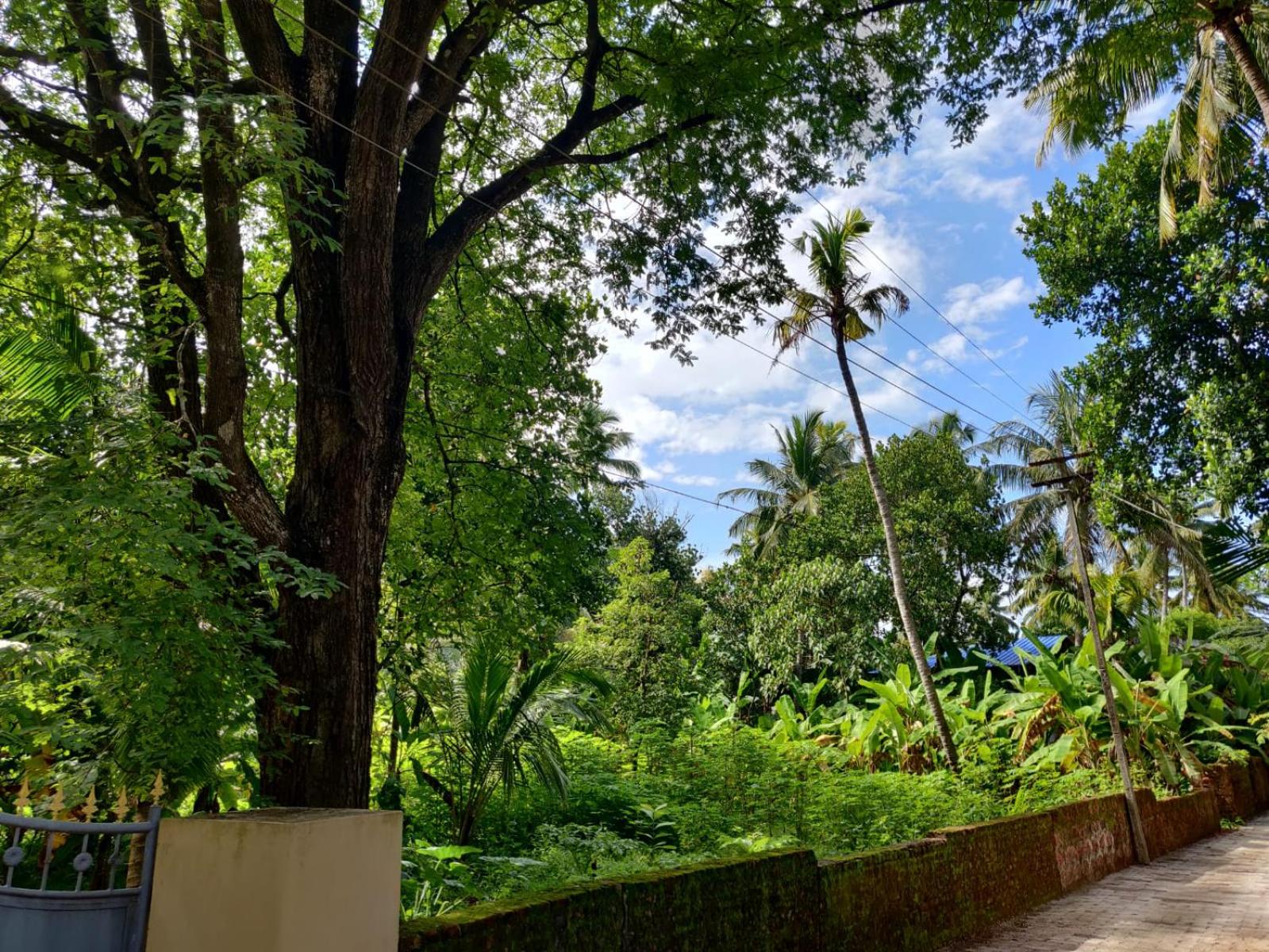 Mavila Beach Resort, Kerala's Heritage Temple Villa