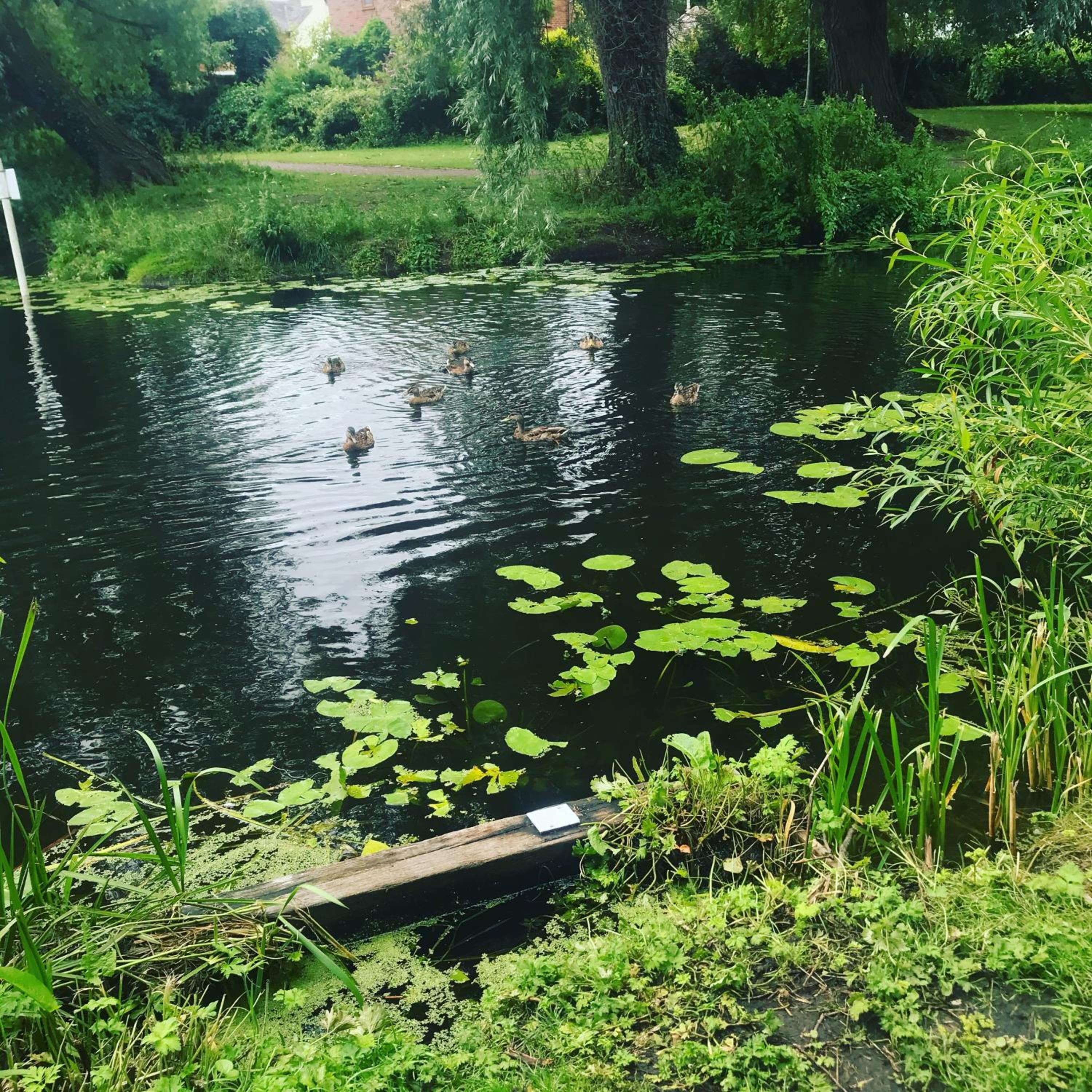 Photo 26