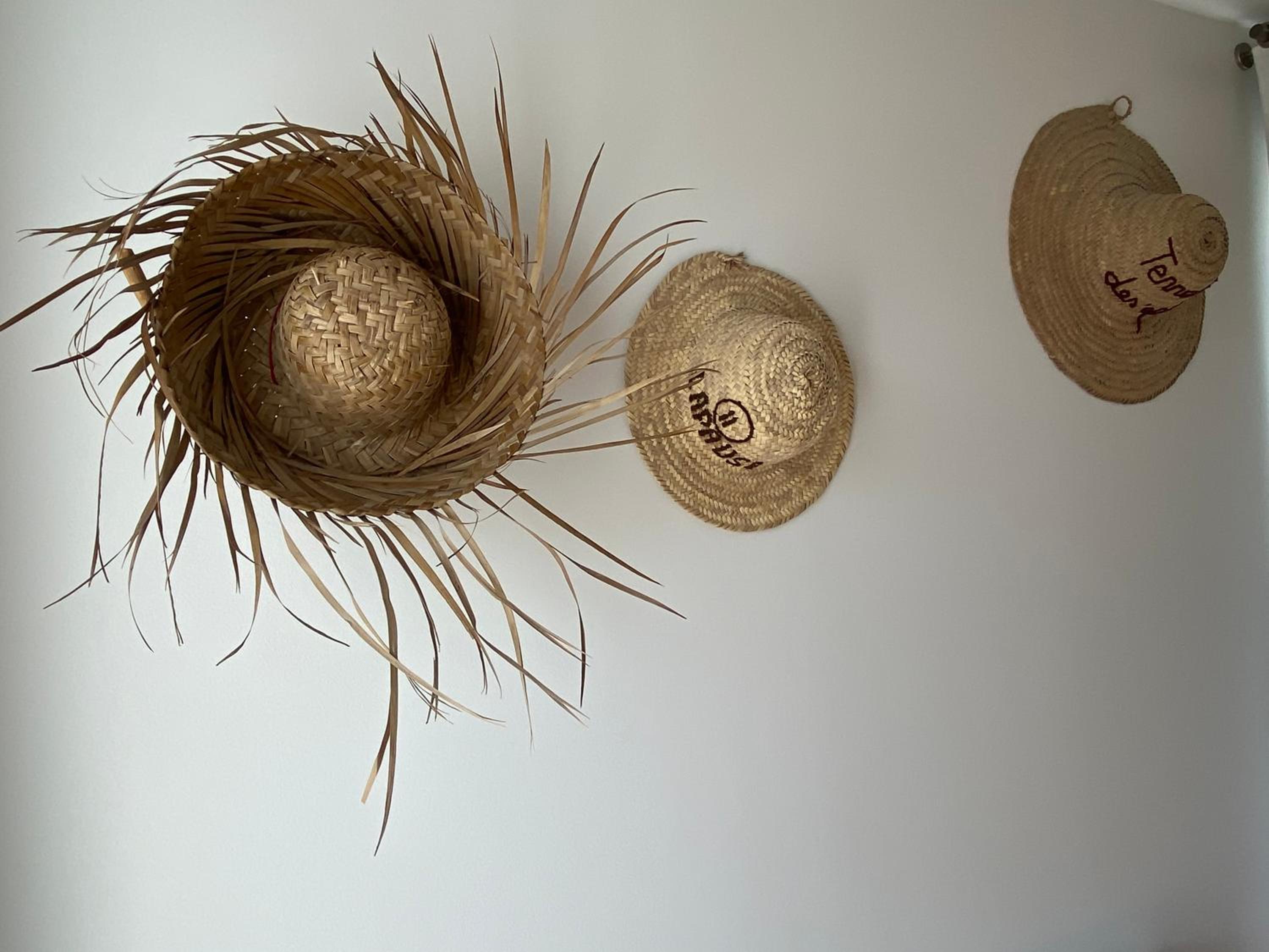 Alapause, photo 7