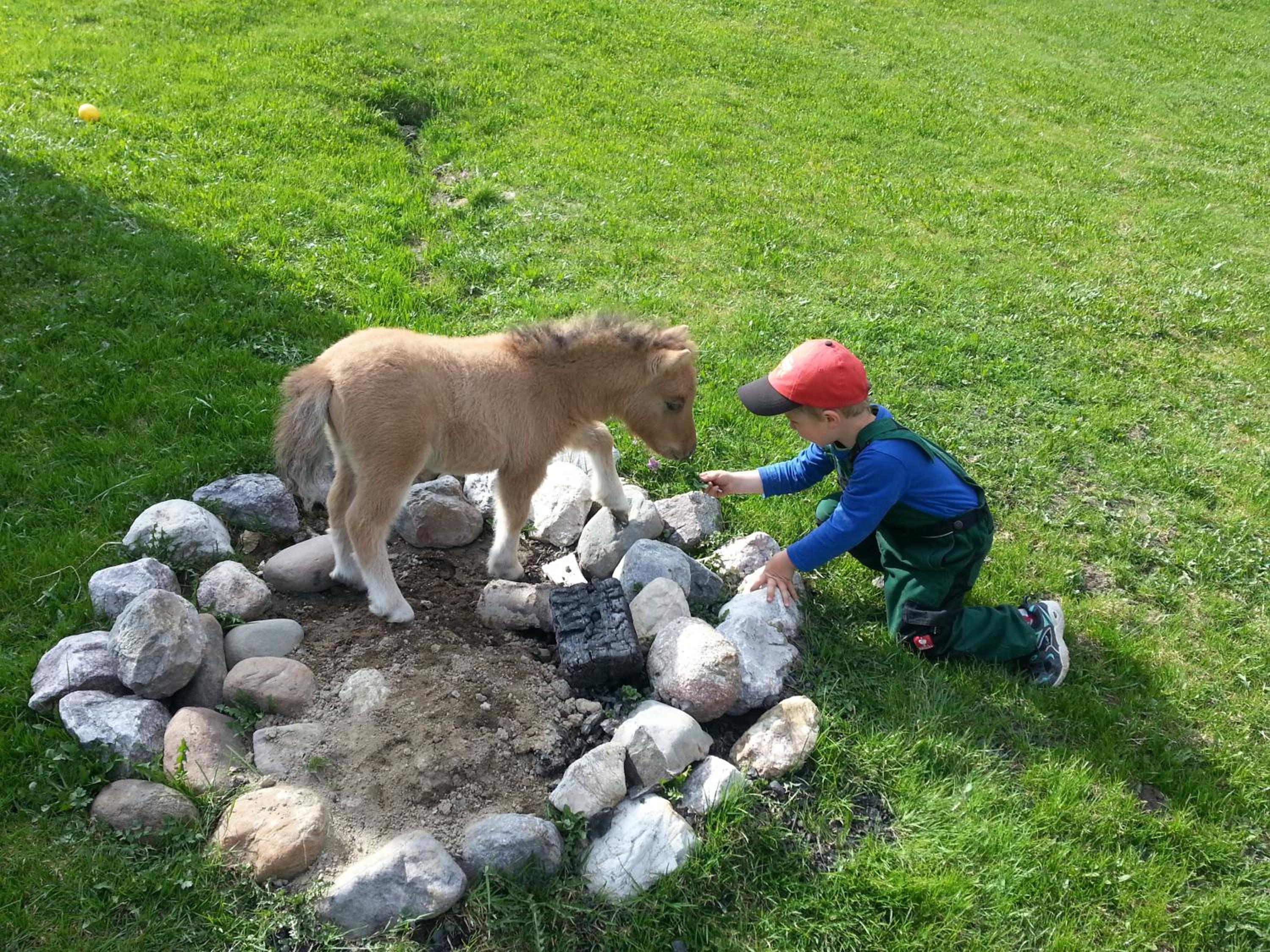 Photo 25