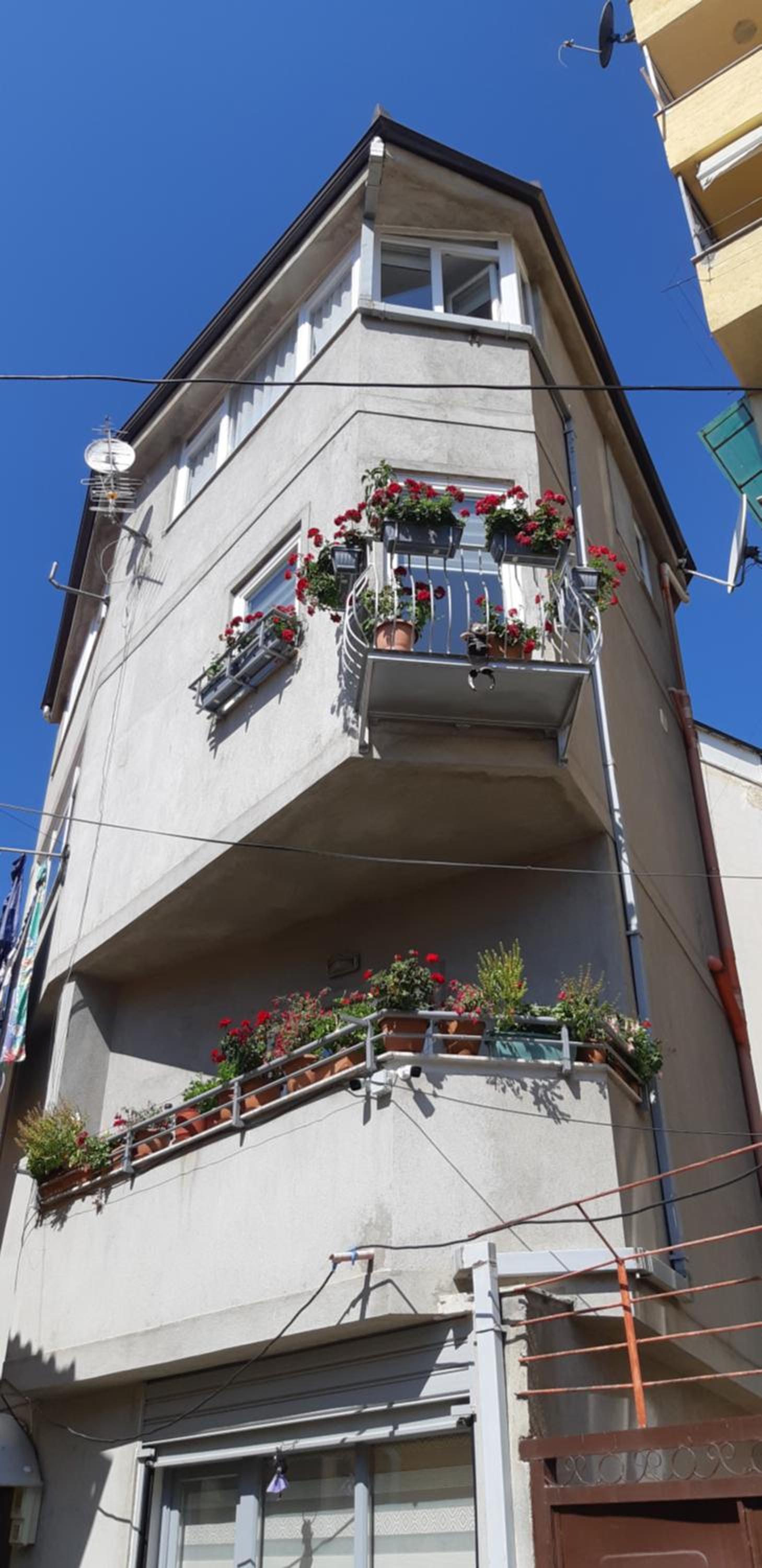 Vila Nikolla photo 4