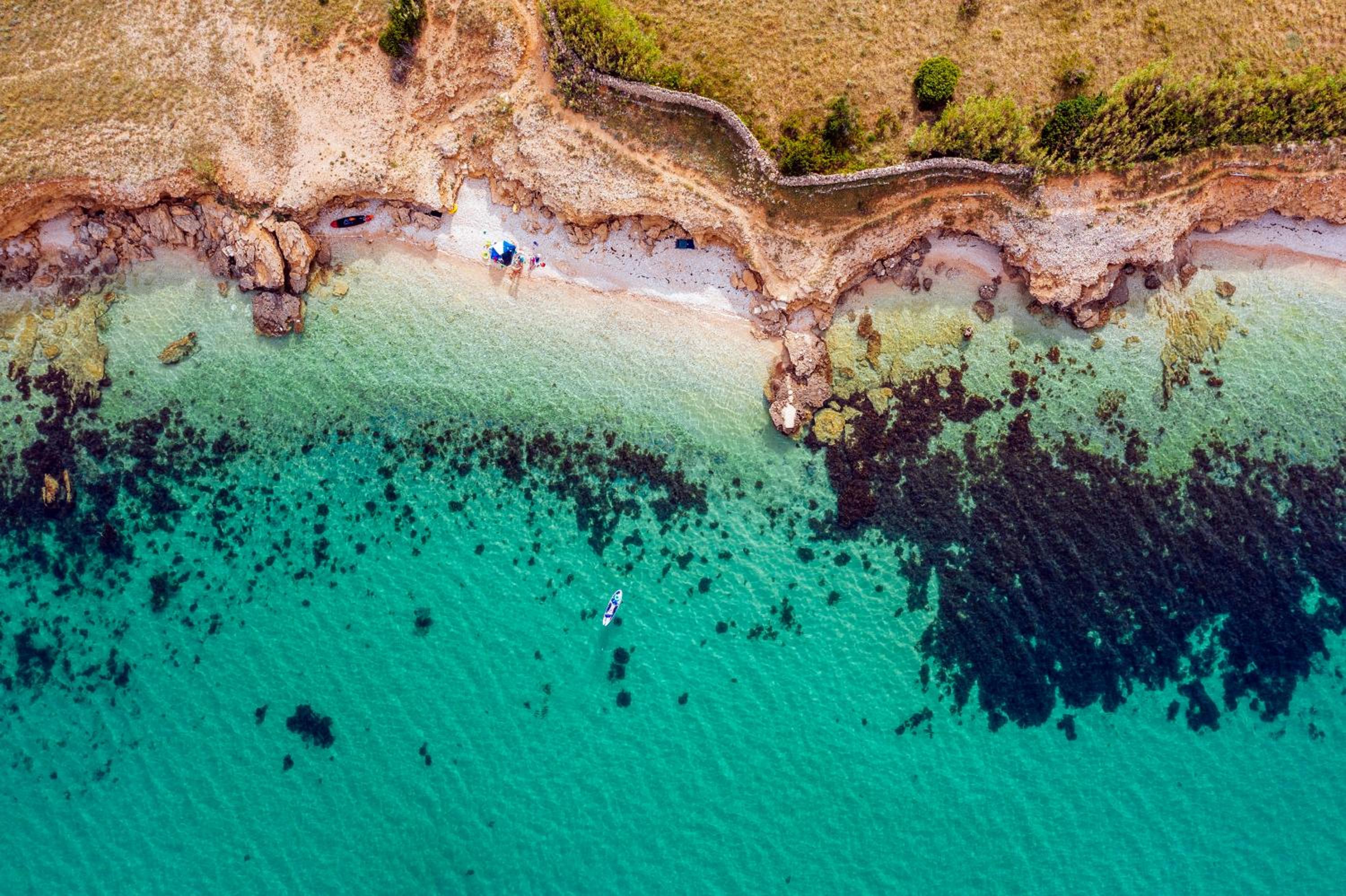 Photo 227