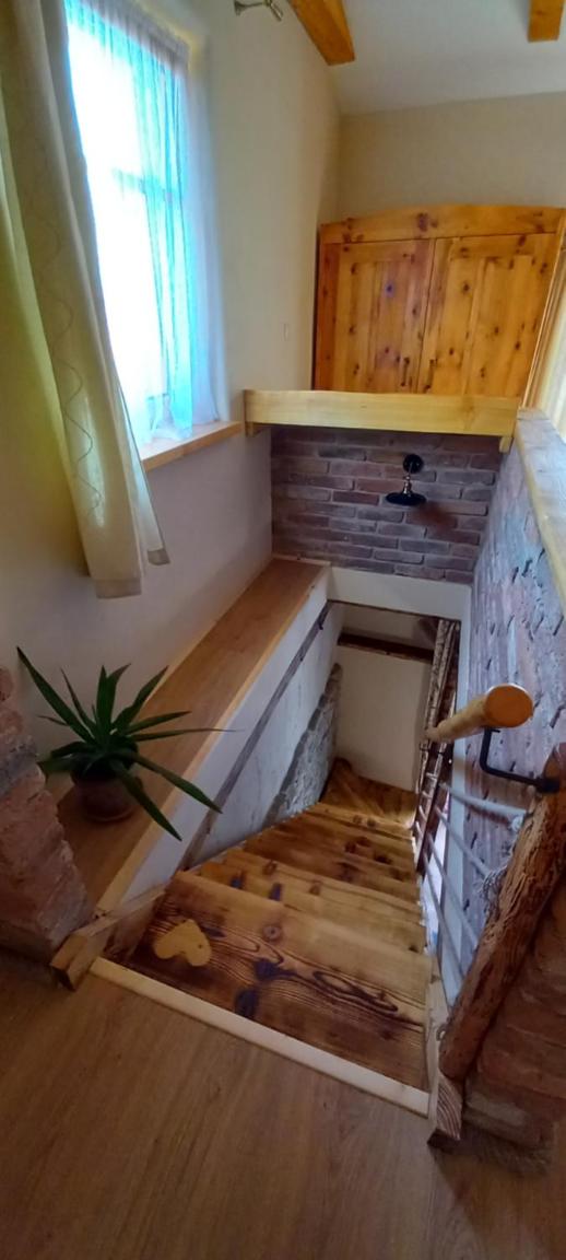 Photo 41