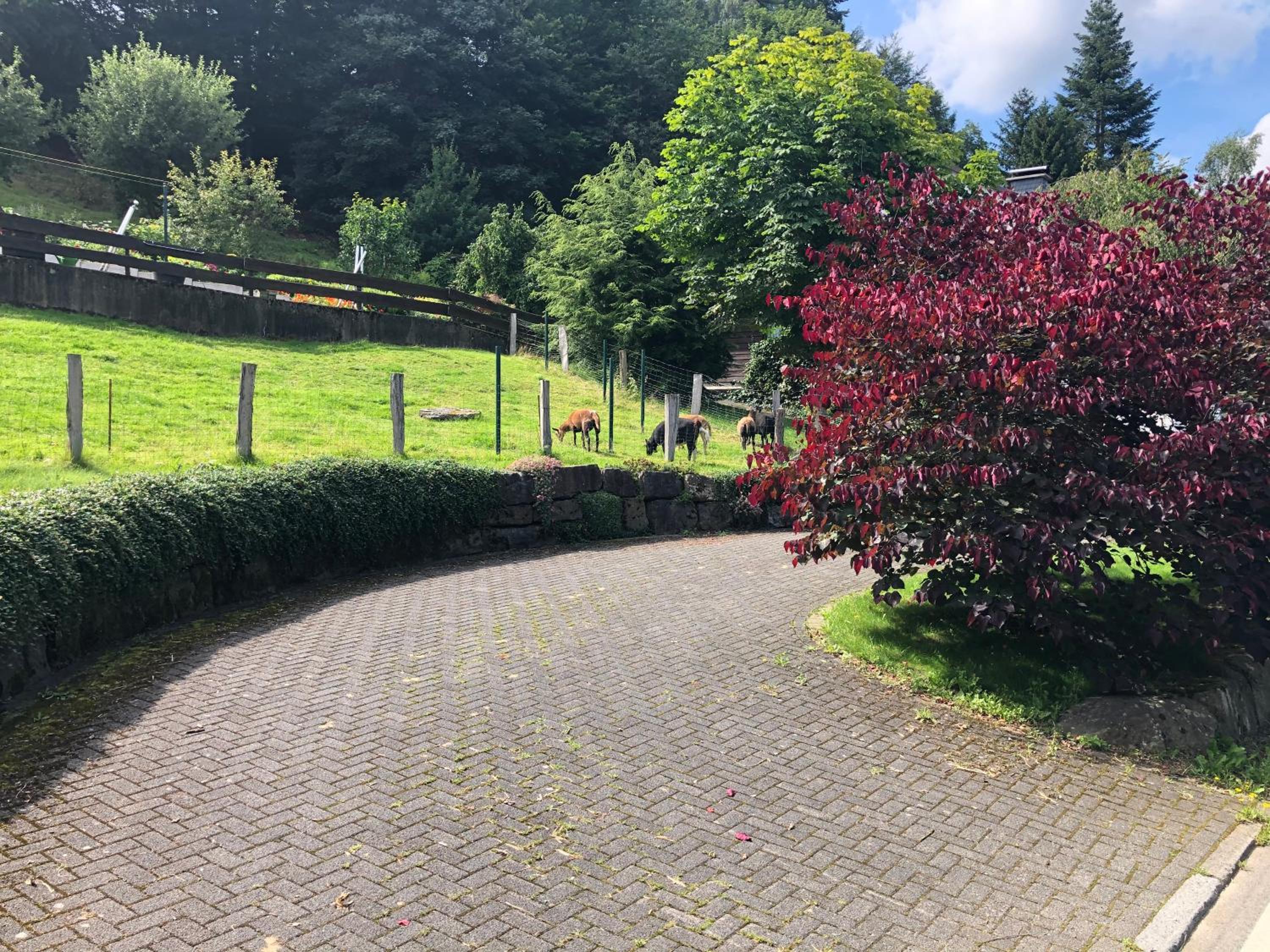 Ferienwohnung am Wald mit Garten & Hot-Tub & Alpakas