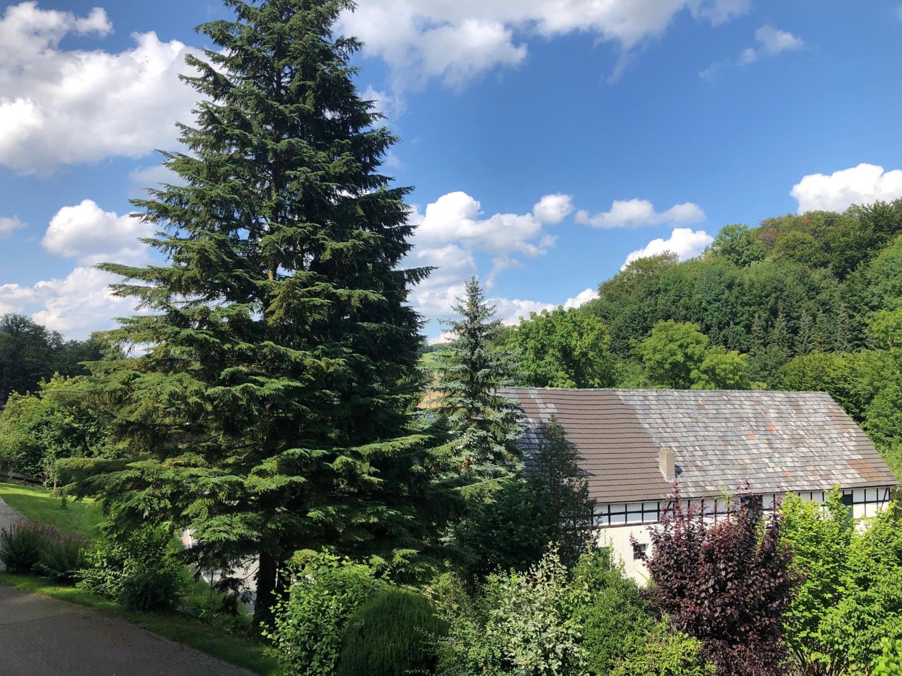 Ferienwohnung am Wald mit Garten & Hot-Tub & Alpakas