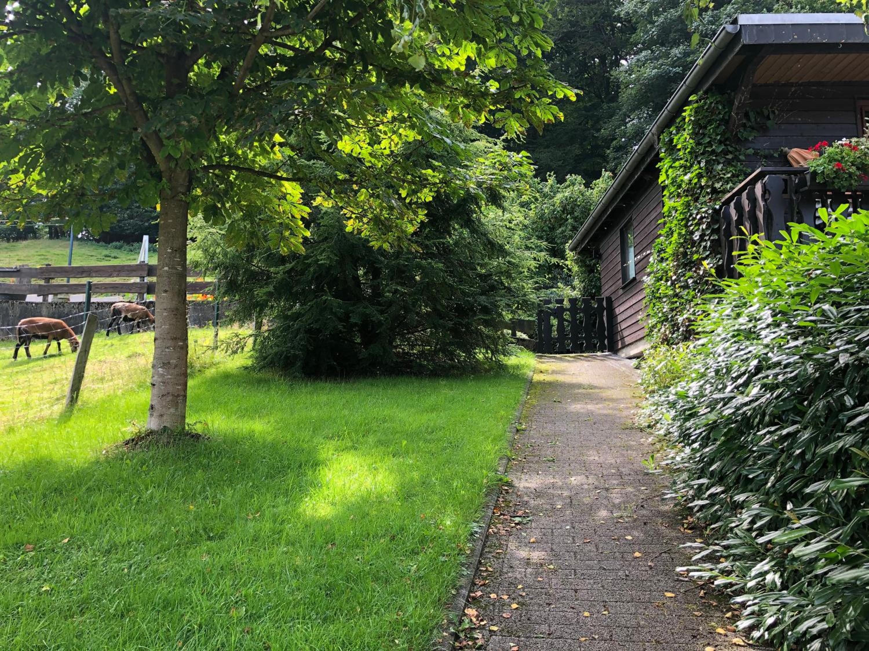 Ferienwohnung am Wald mit Garten & Hot-Tub & Alpakas
