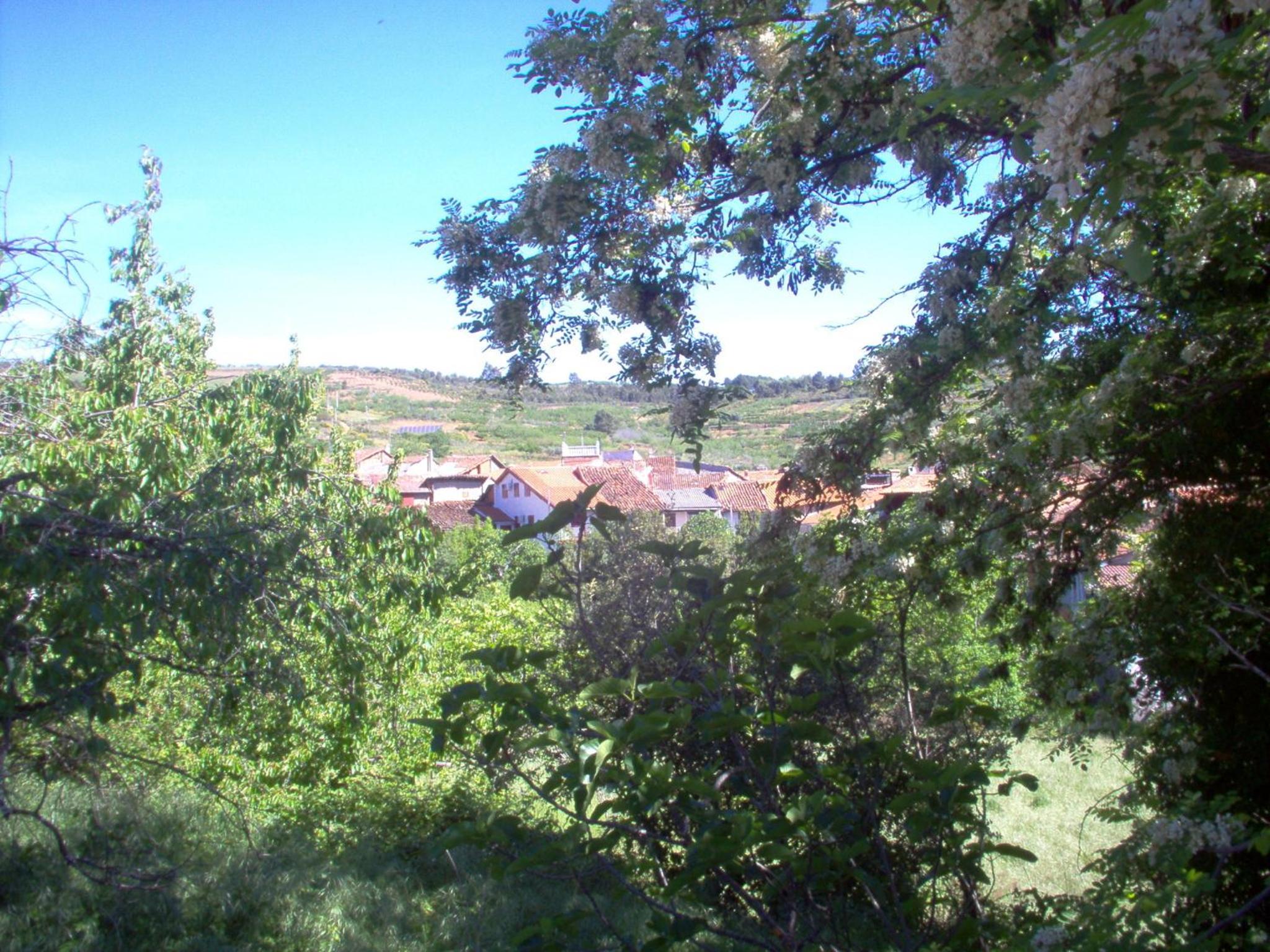 Apartamento El Dragon Serrano