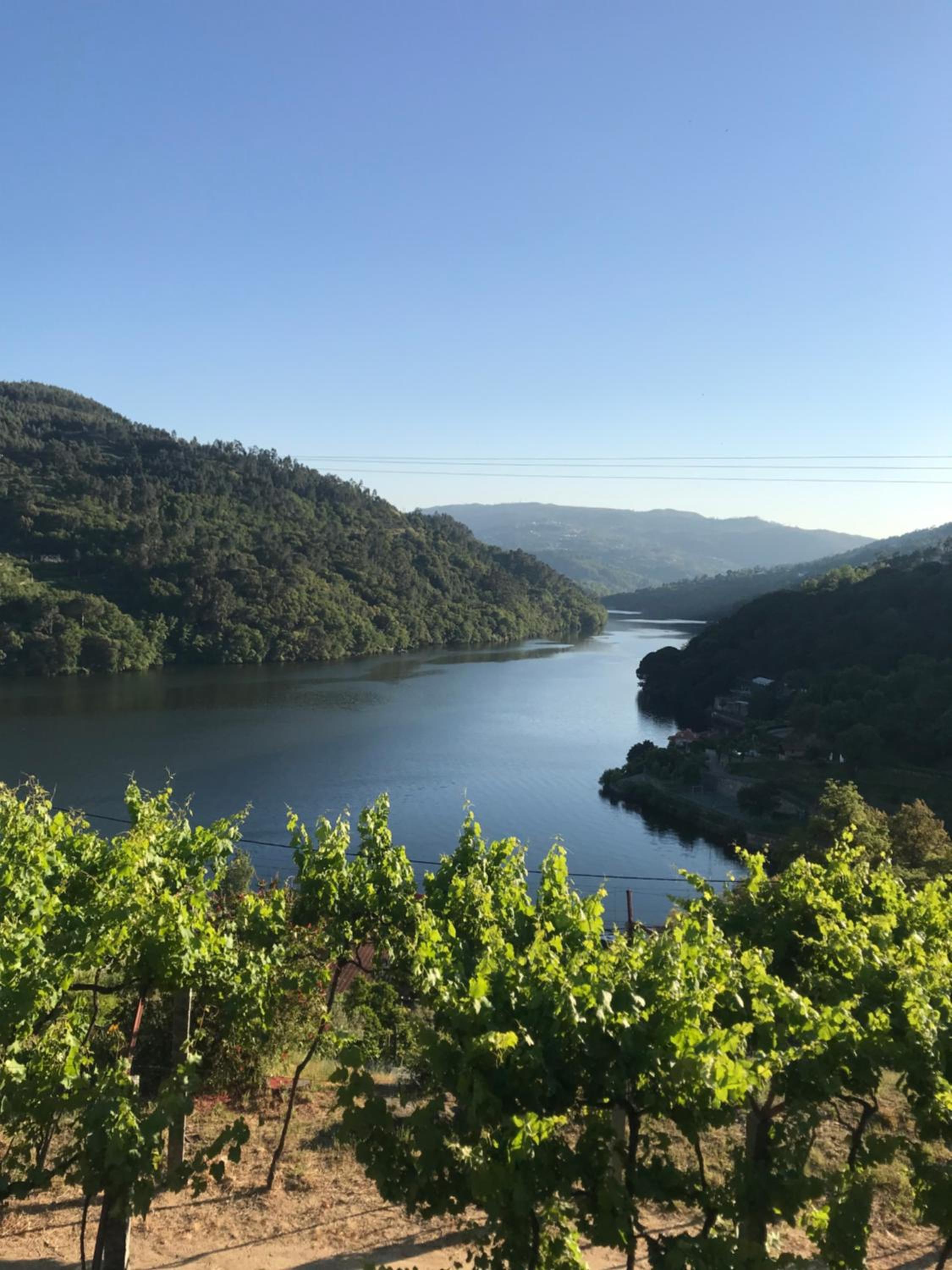 Quinta Vale do Cabo