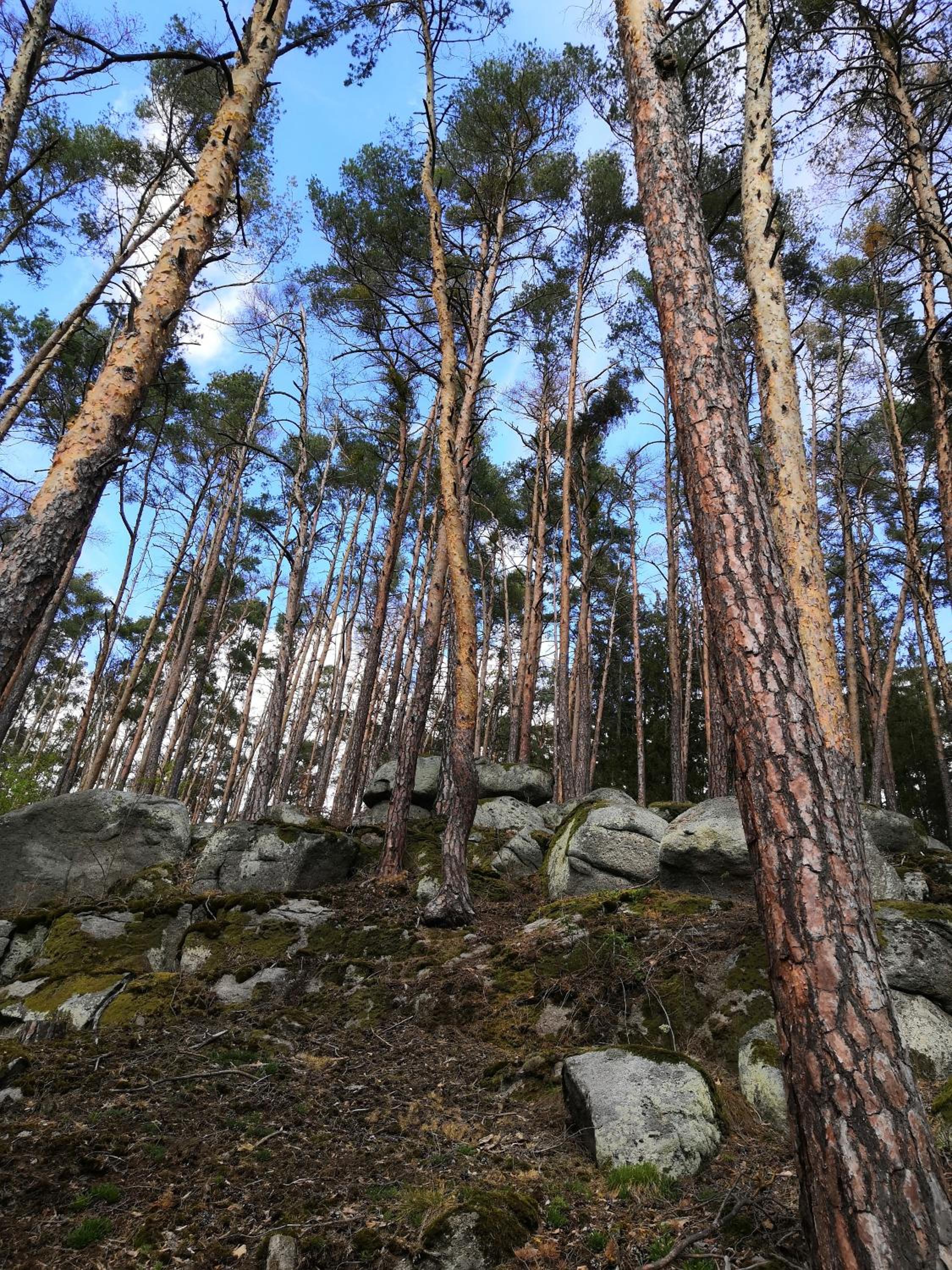 Statek Vletice