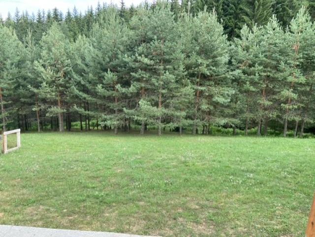 Photo 27