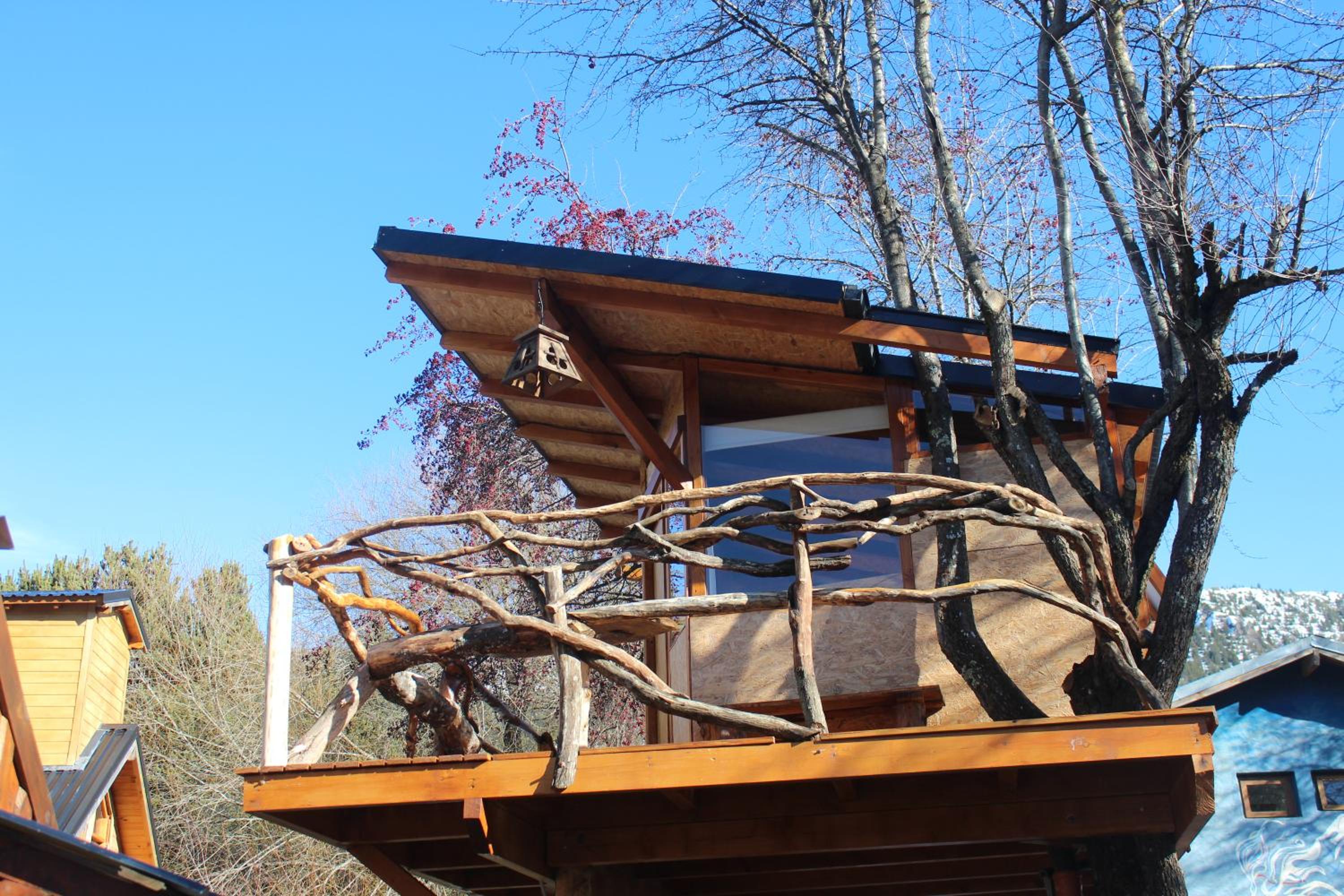Los Coihues camping & hostel