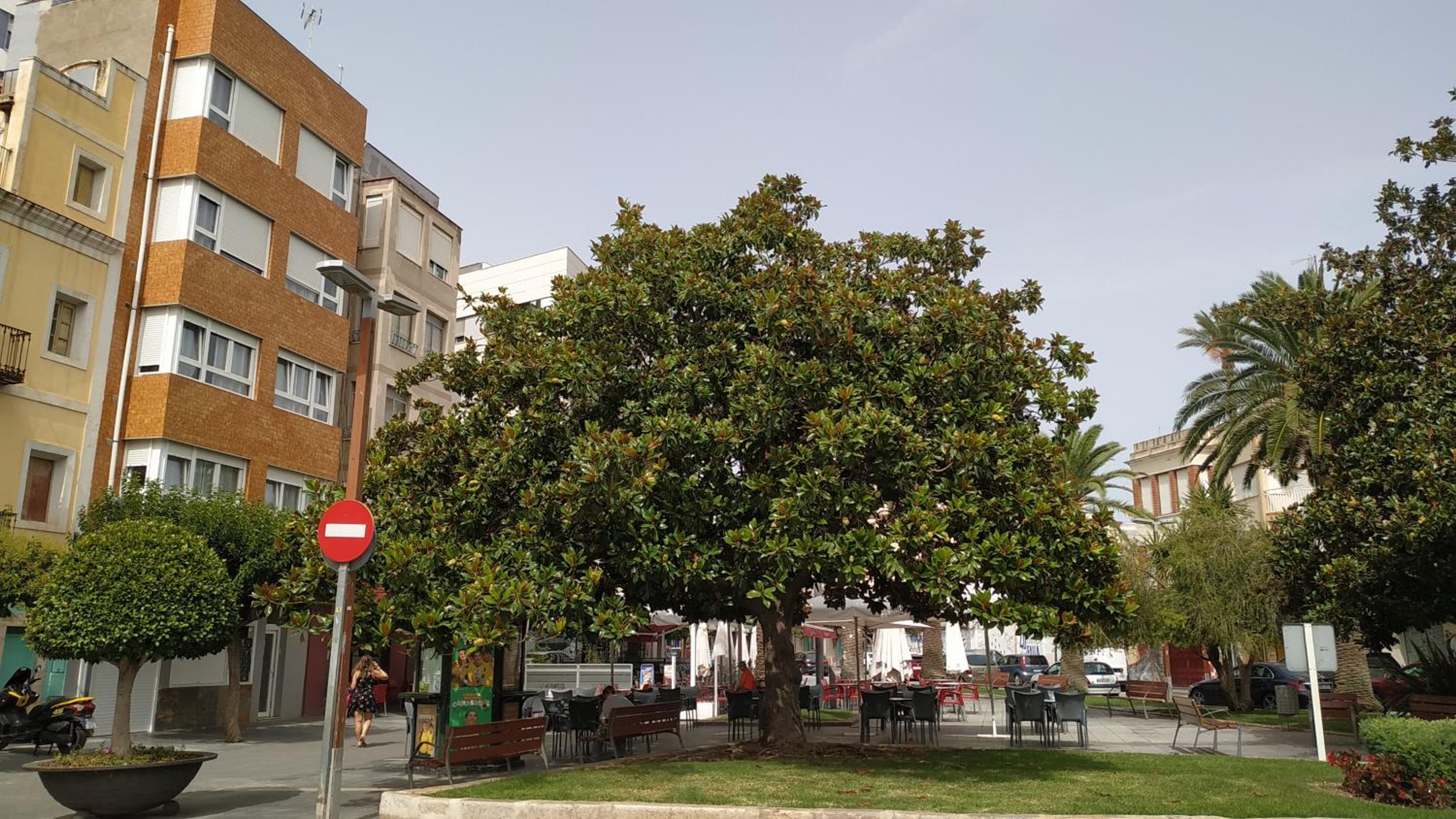 Estudios Placeta dels Bous - Plaza Constitución view 3