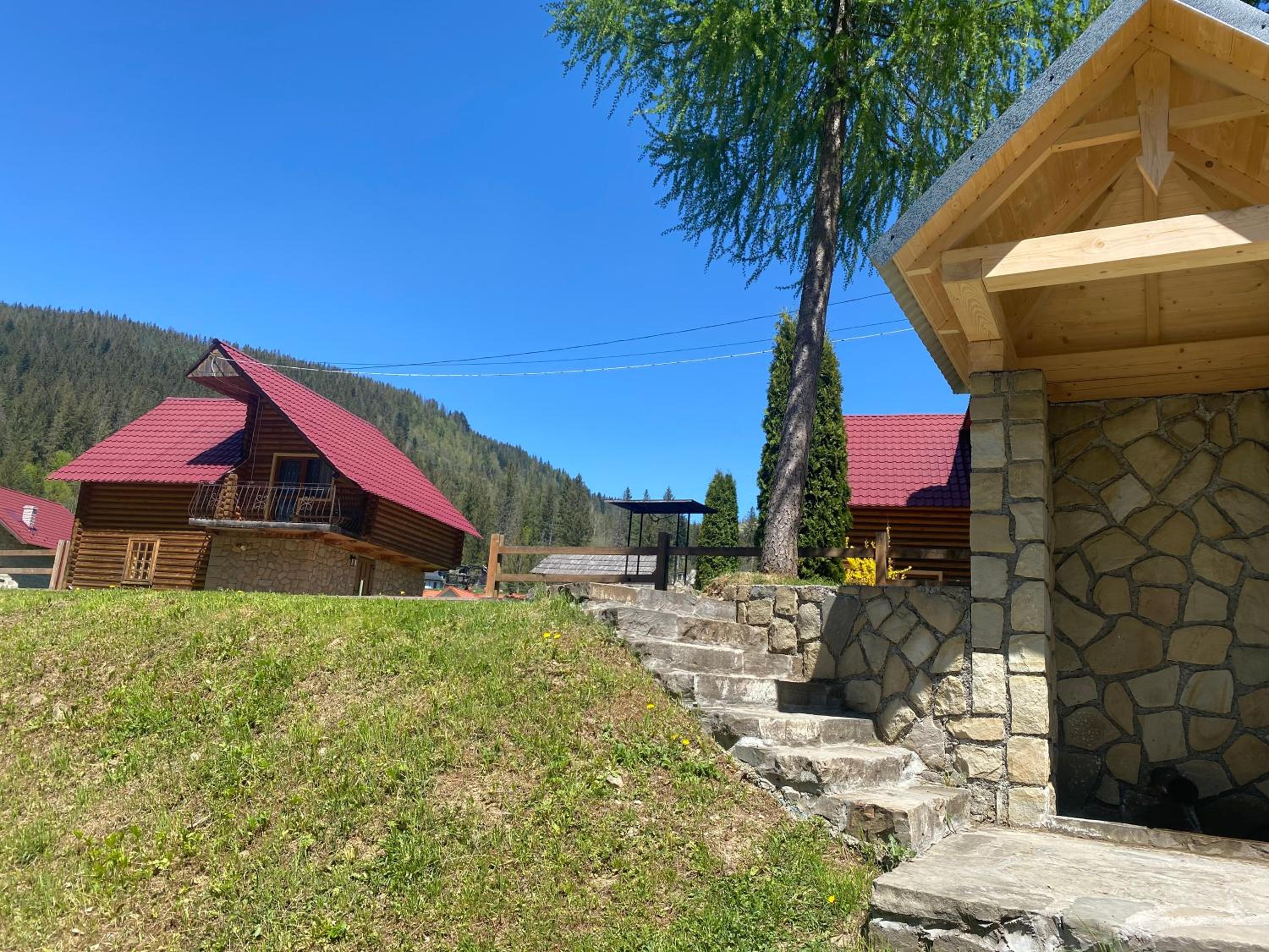 Photo 241
