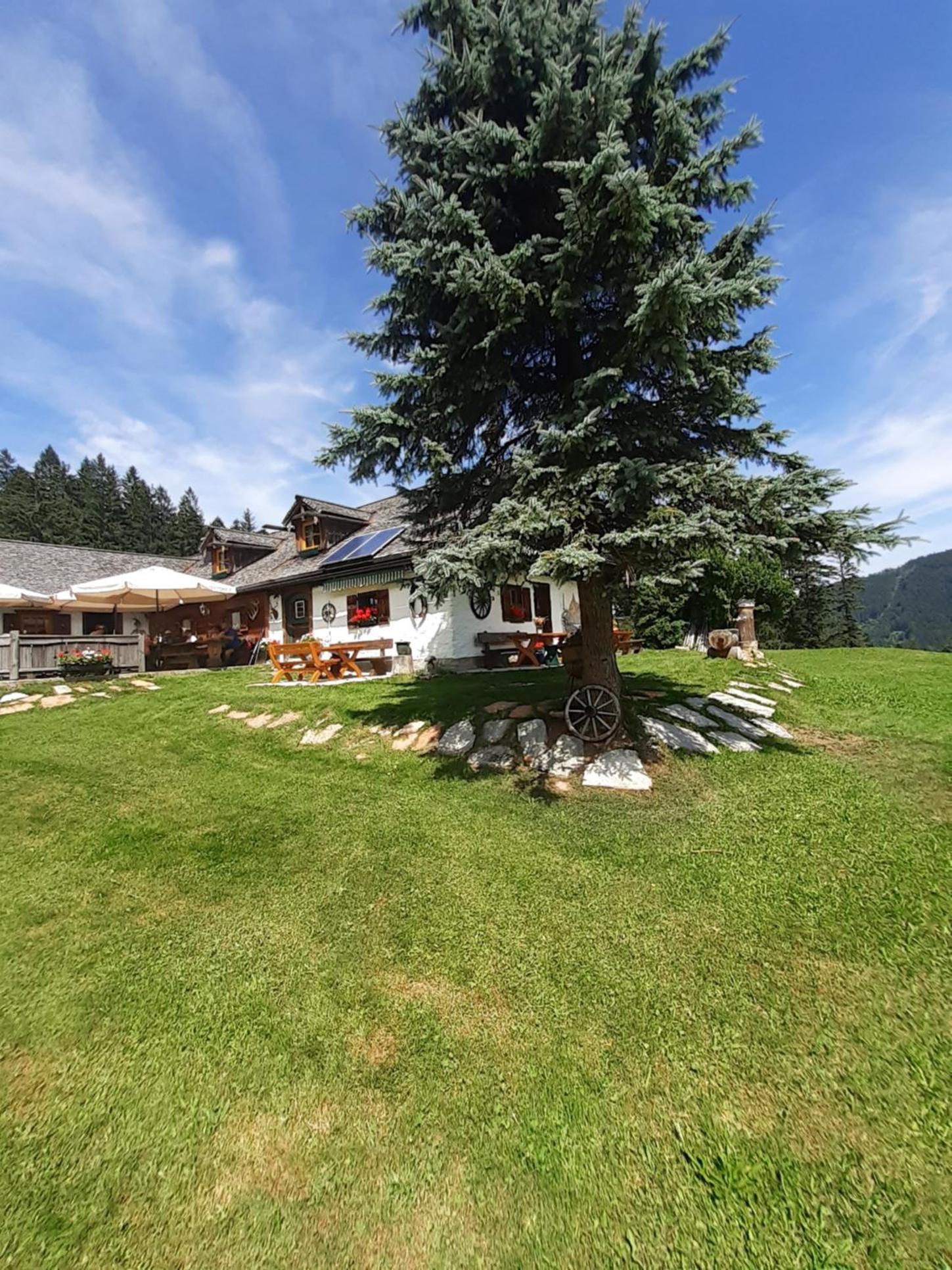 Reitbergs Nest