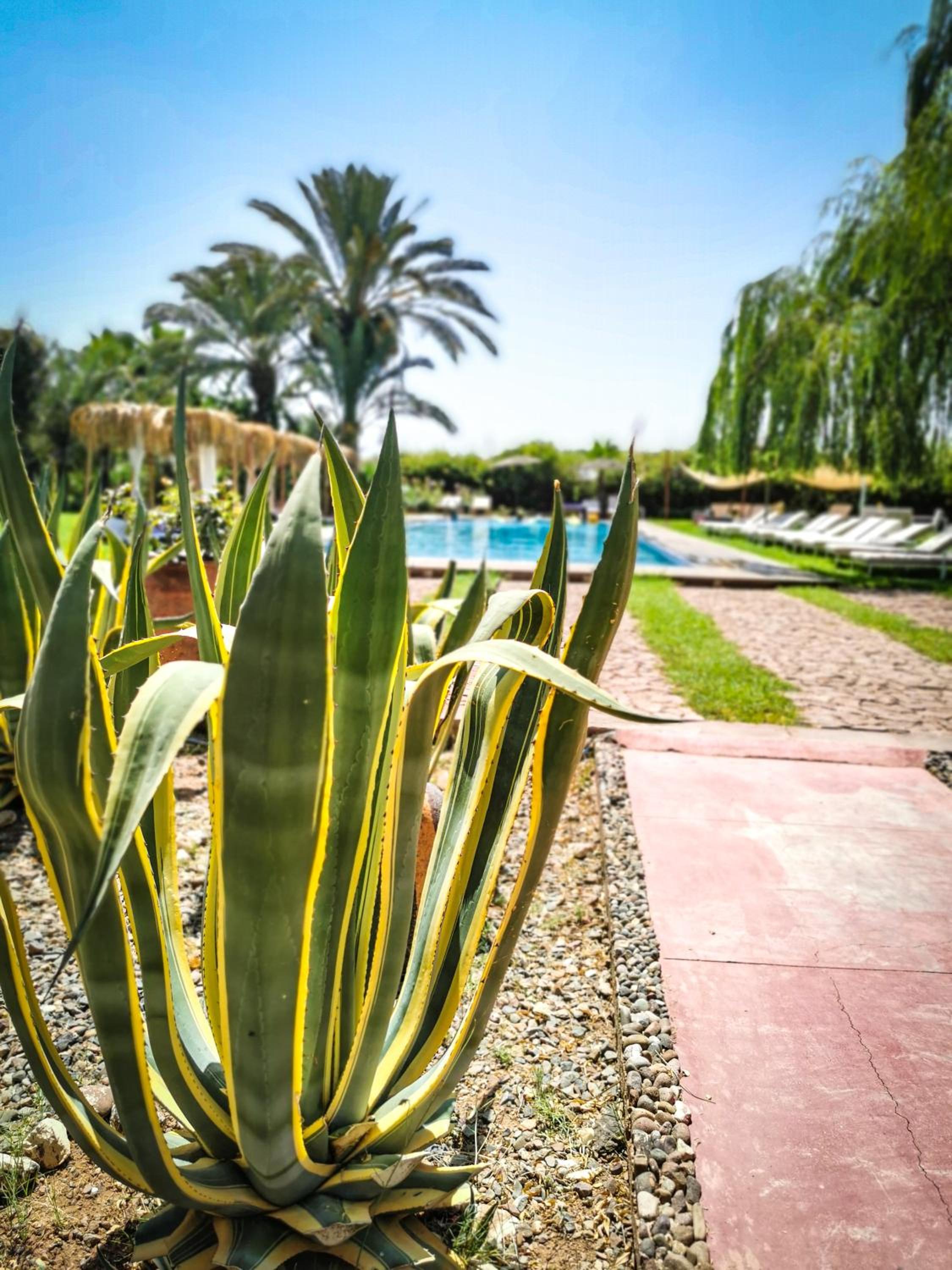 Jnan Lotf Marrakech - Le Jardin de la Bienveillance