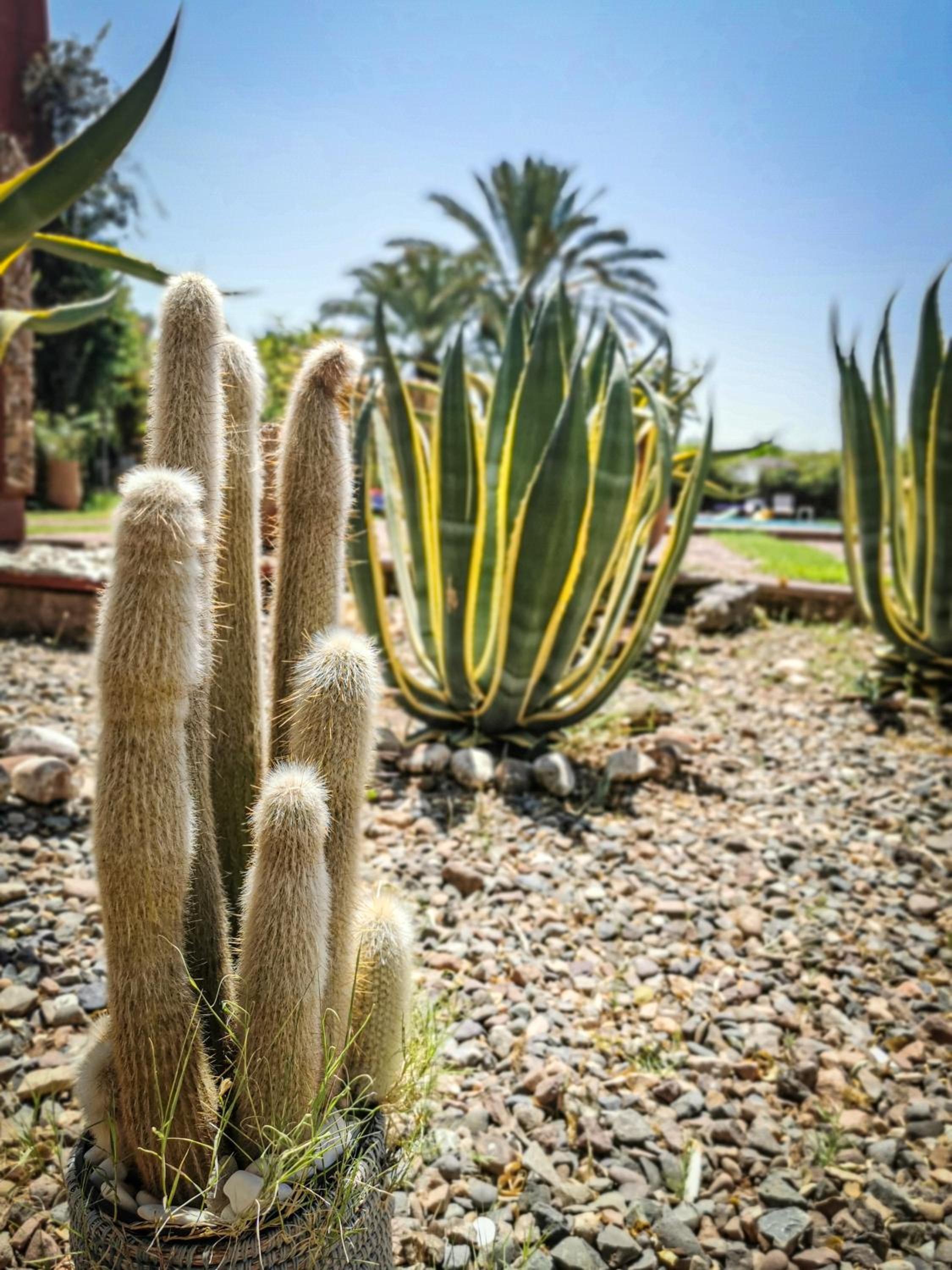 Jnan Lotf Marrakech - Le Jardin de la Bienveillance