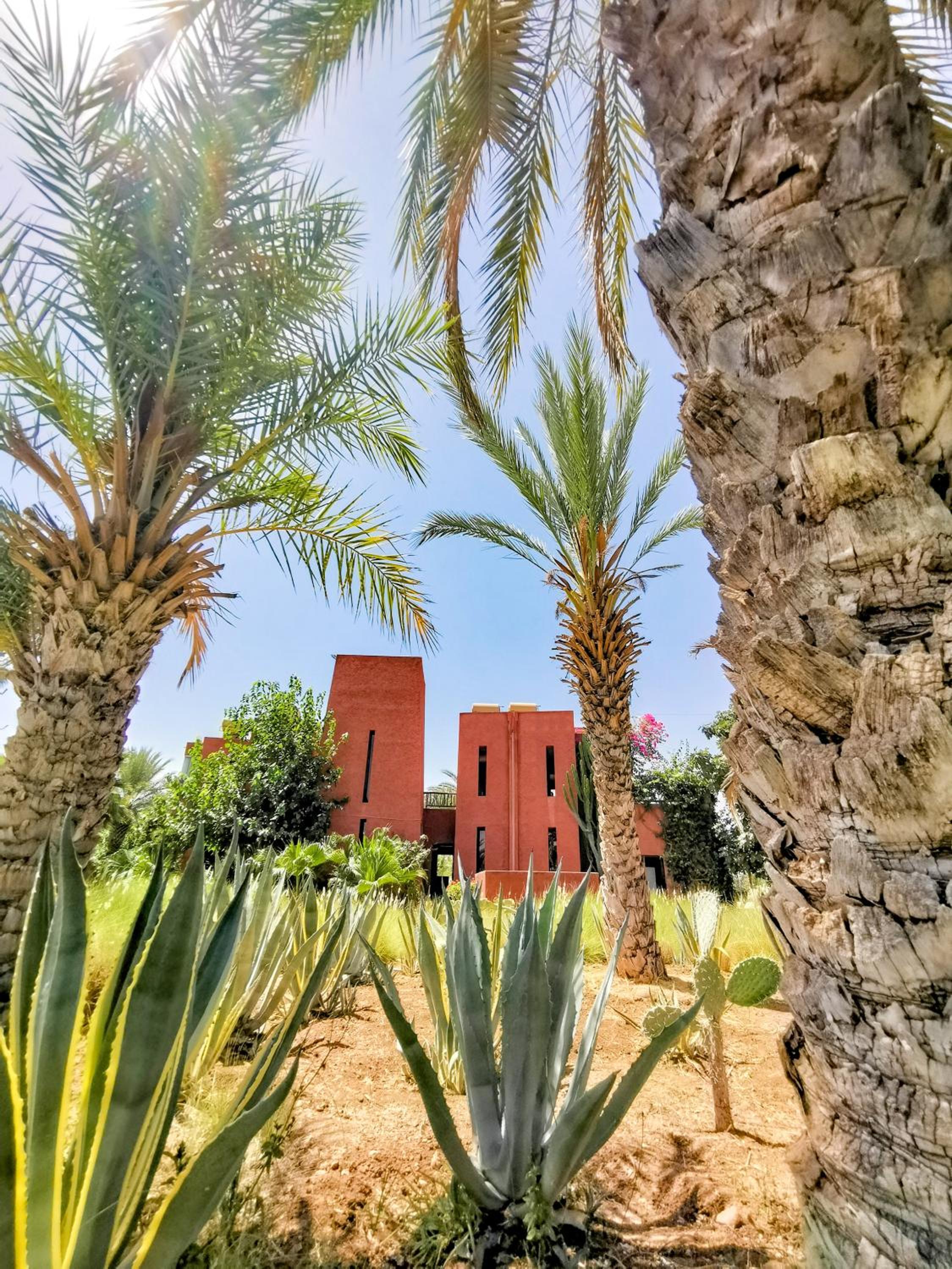 Jnan Lotf Marrakech - Le Jardin de la Bienveillance