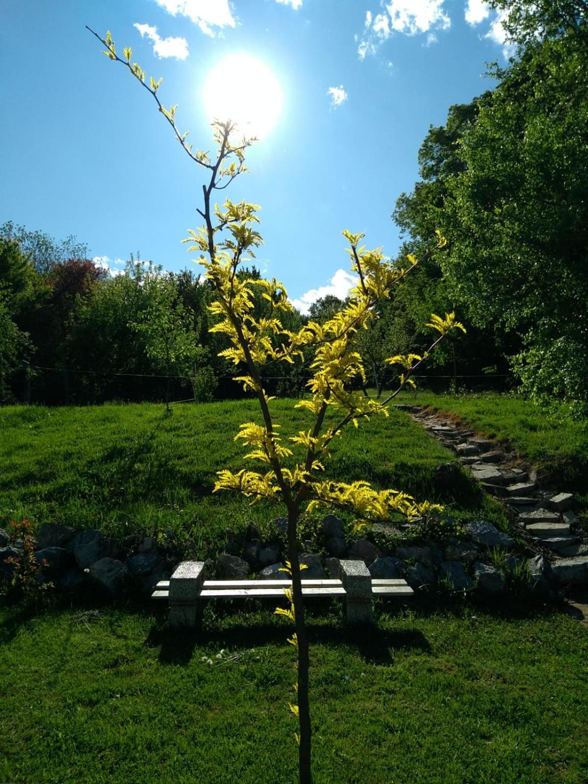 Photo 41