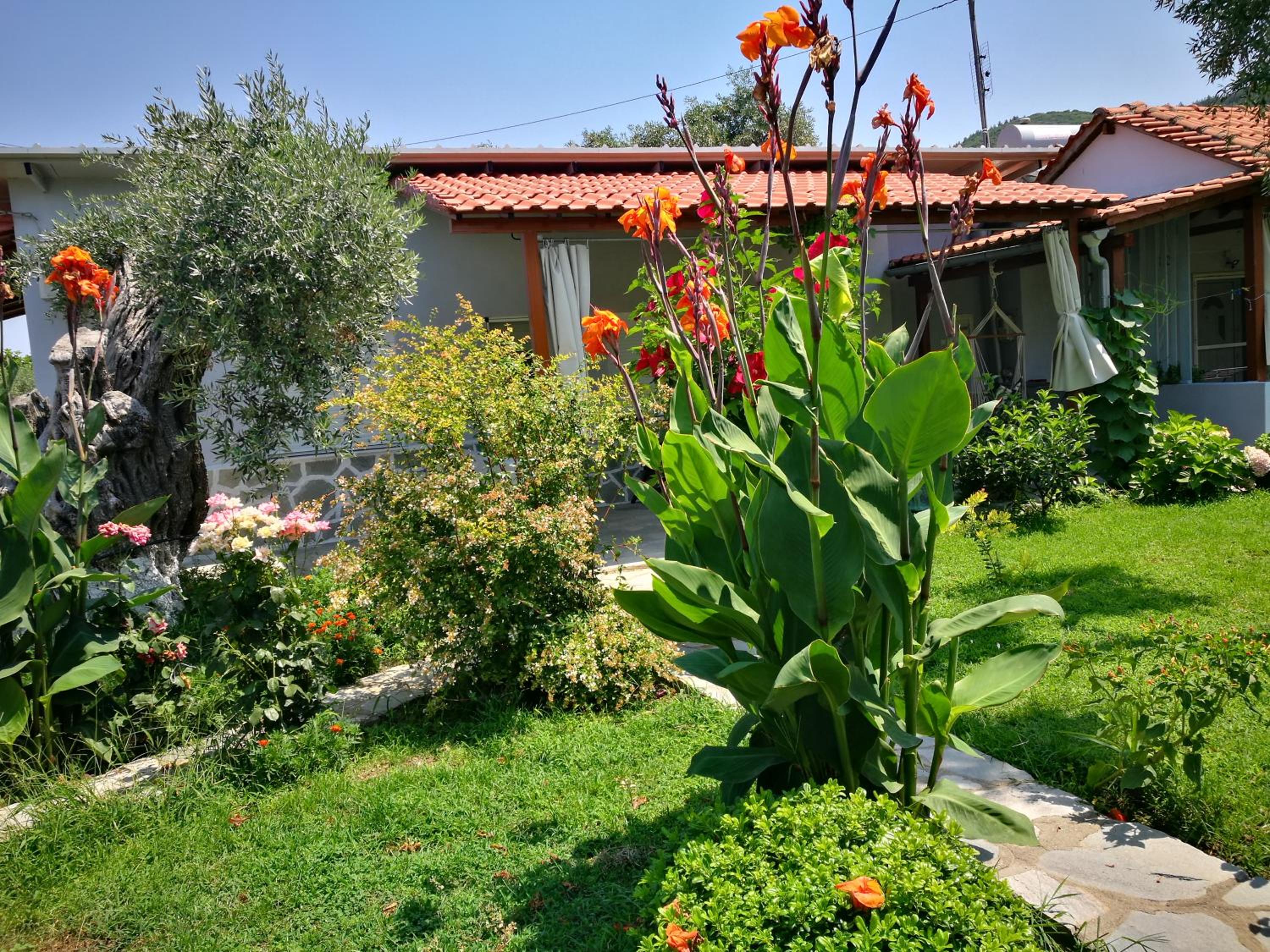 Photo 8