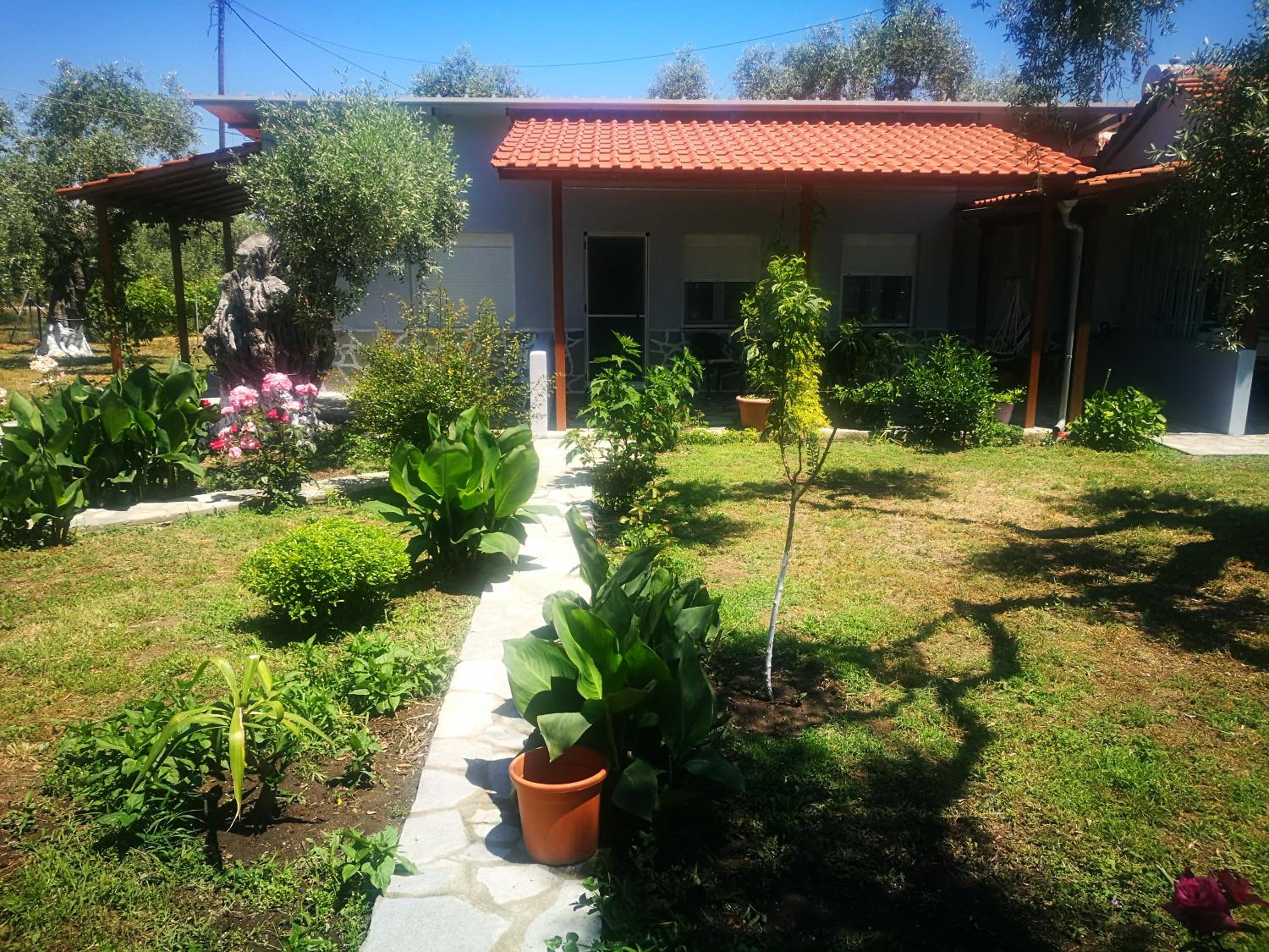 Photo 13
