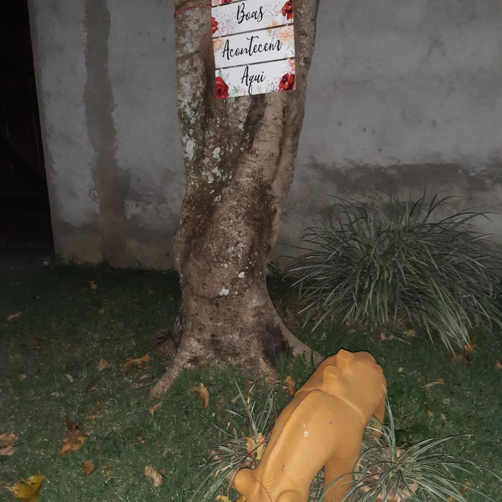 Casa Coral em Saquarema