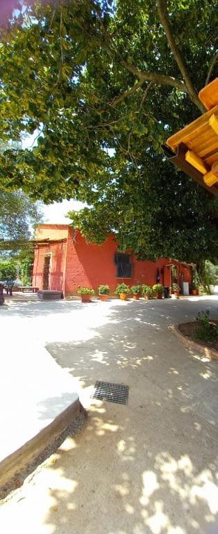 Photo 42