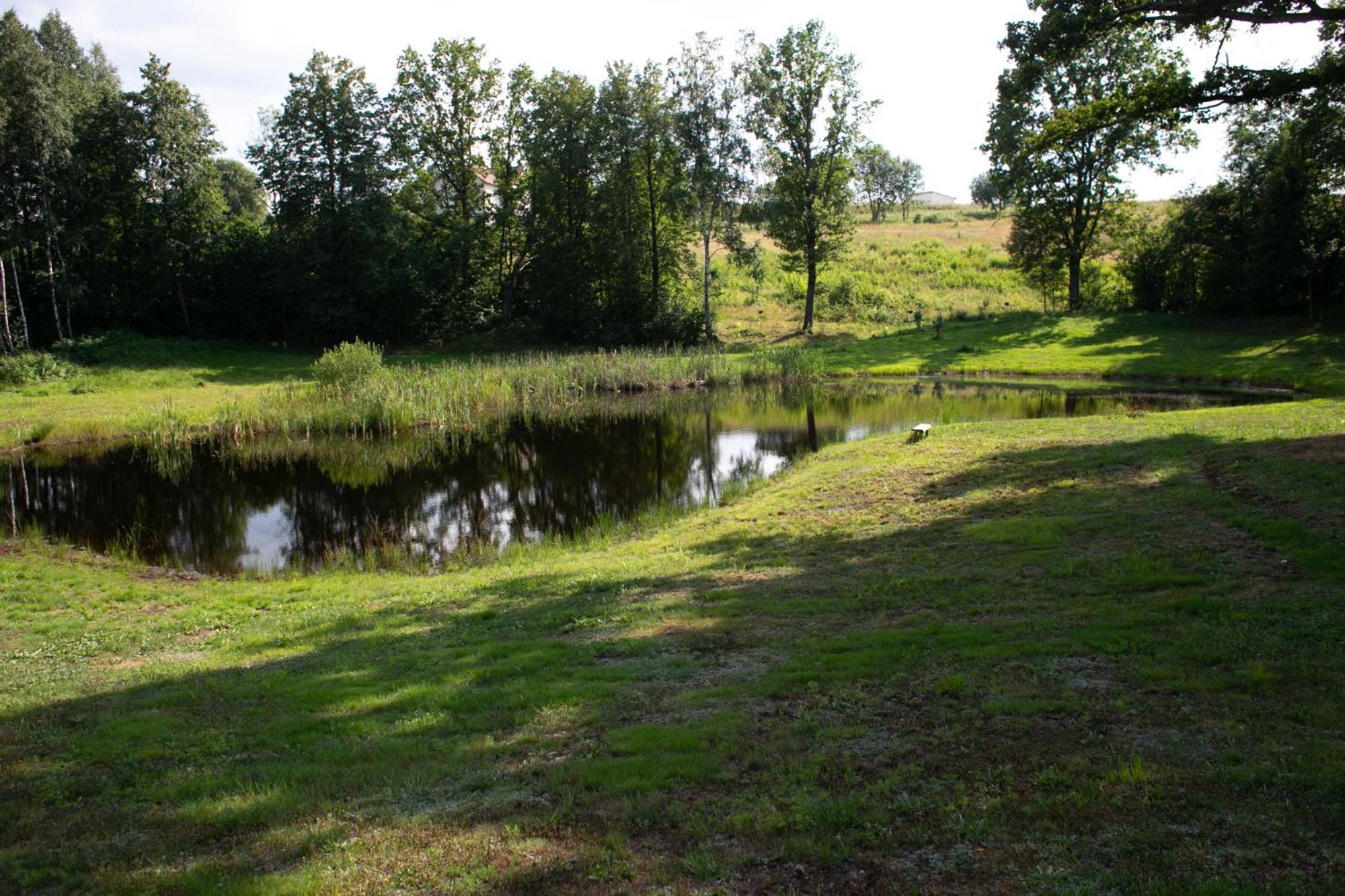 Photo 19