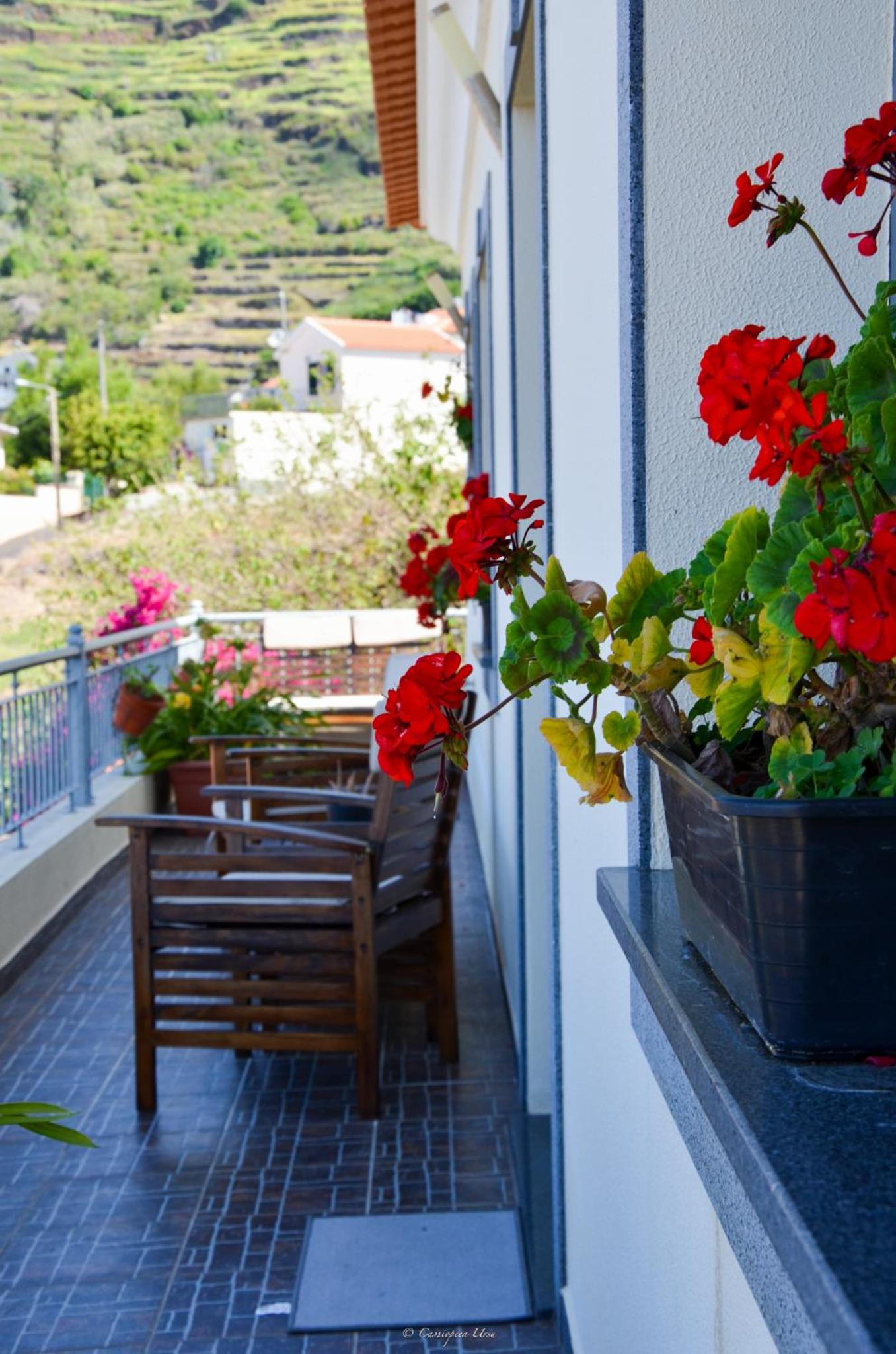 Teixeira House view 2