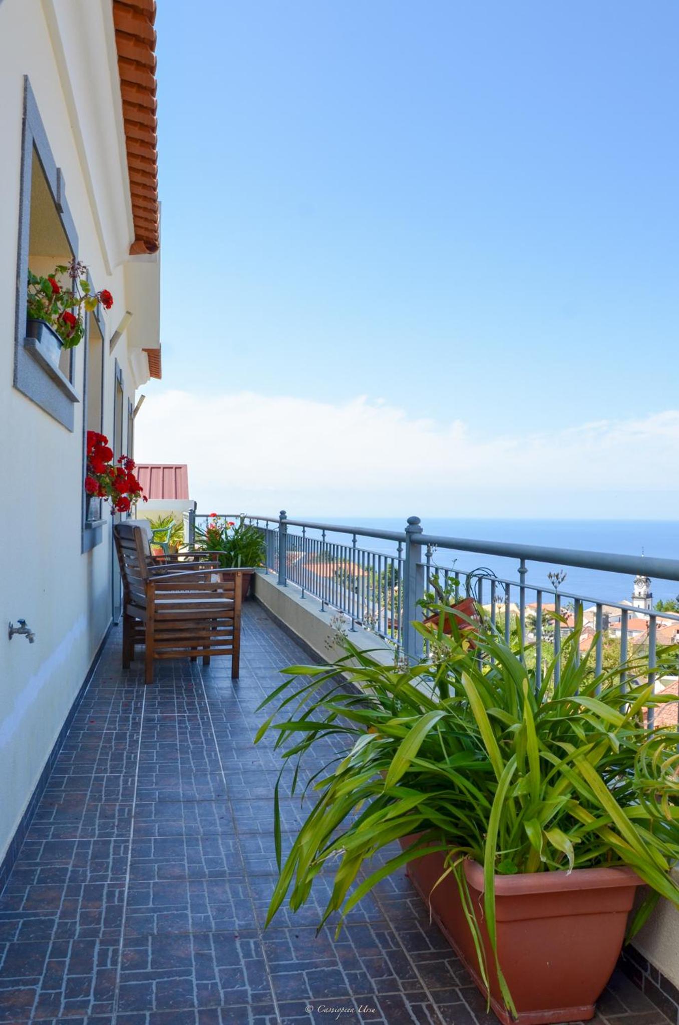 Teixeira House view 5