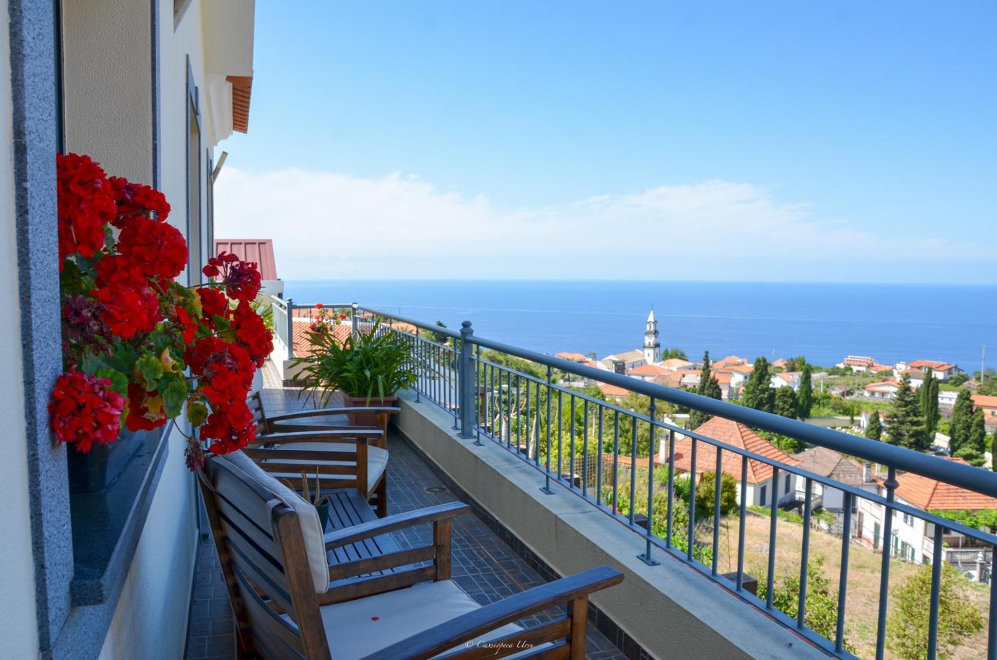 Teixeira House view 4