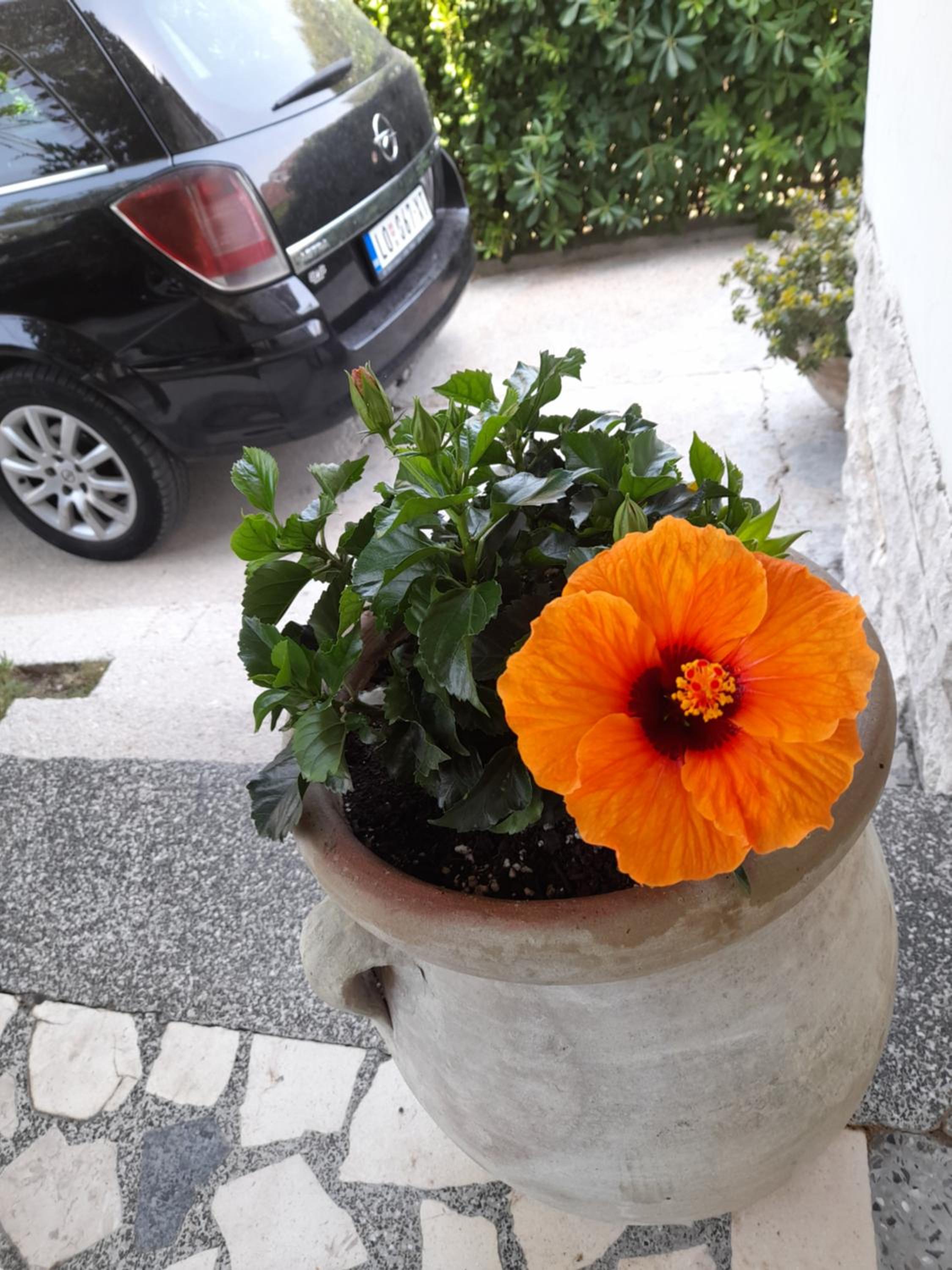 Photo 36