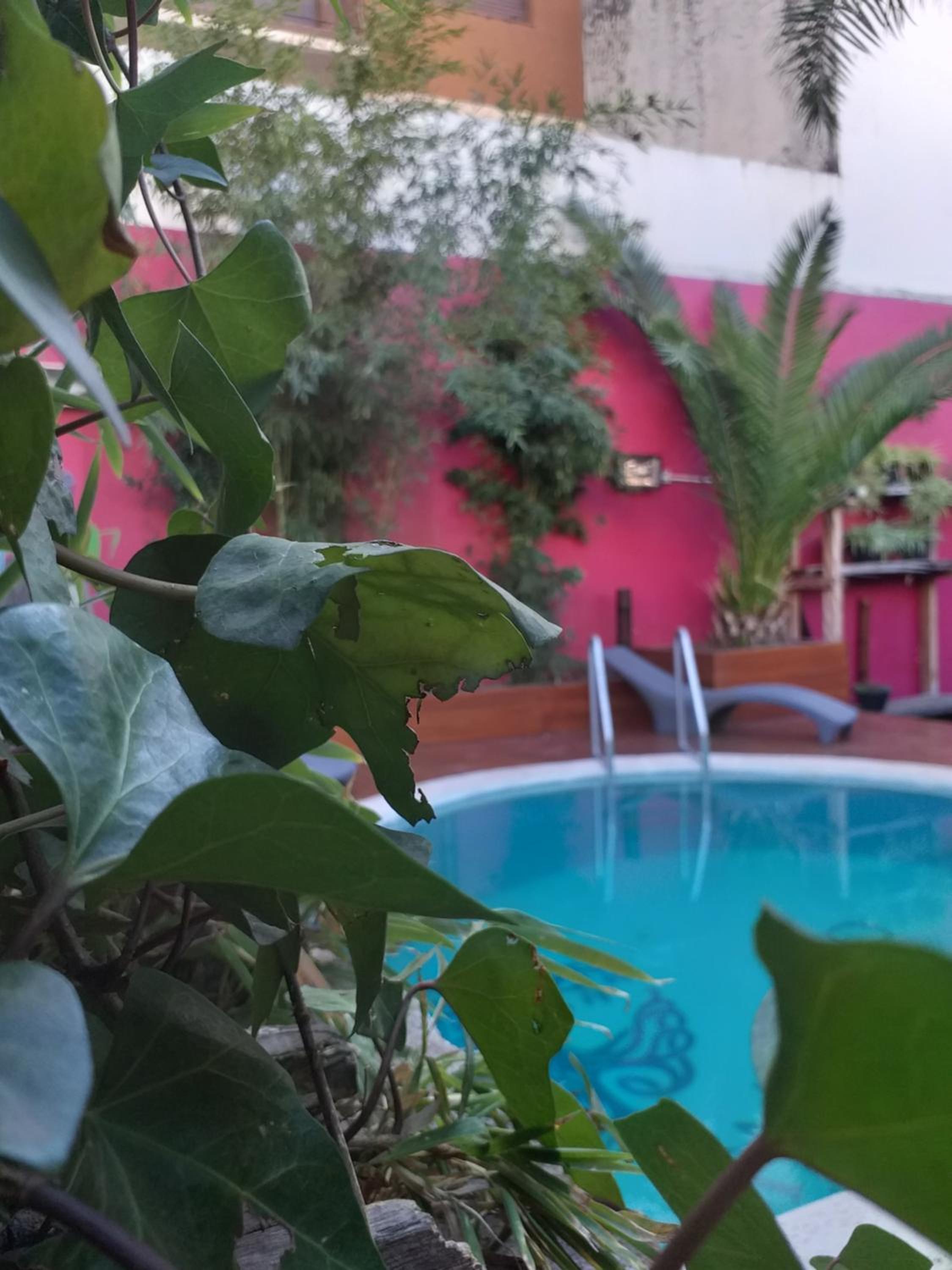 Bucanaan hostel boutique