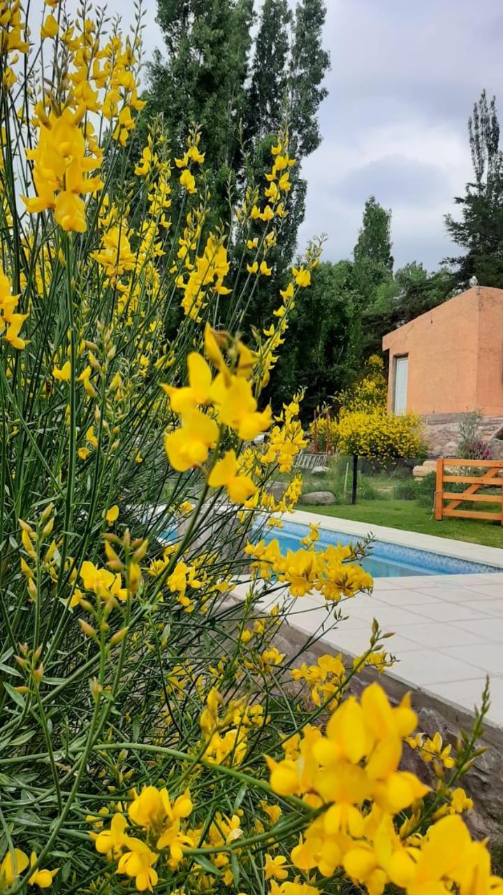 Cabañas Las Golondrinas