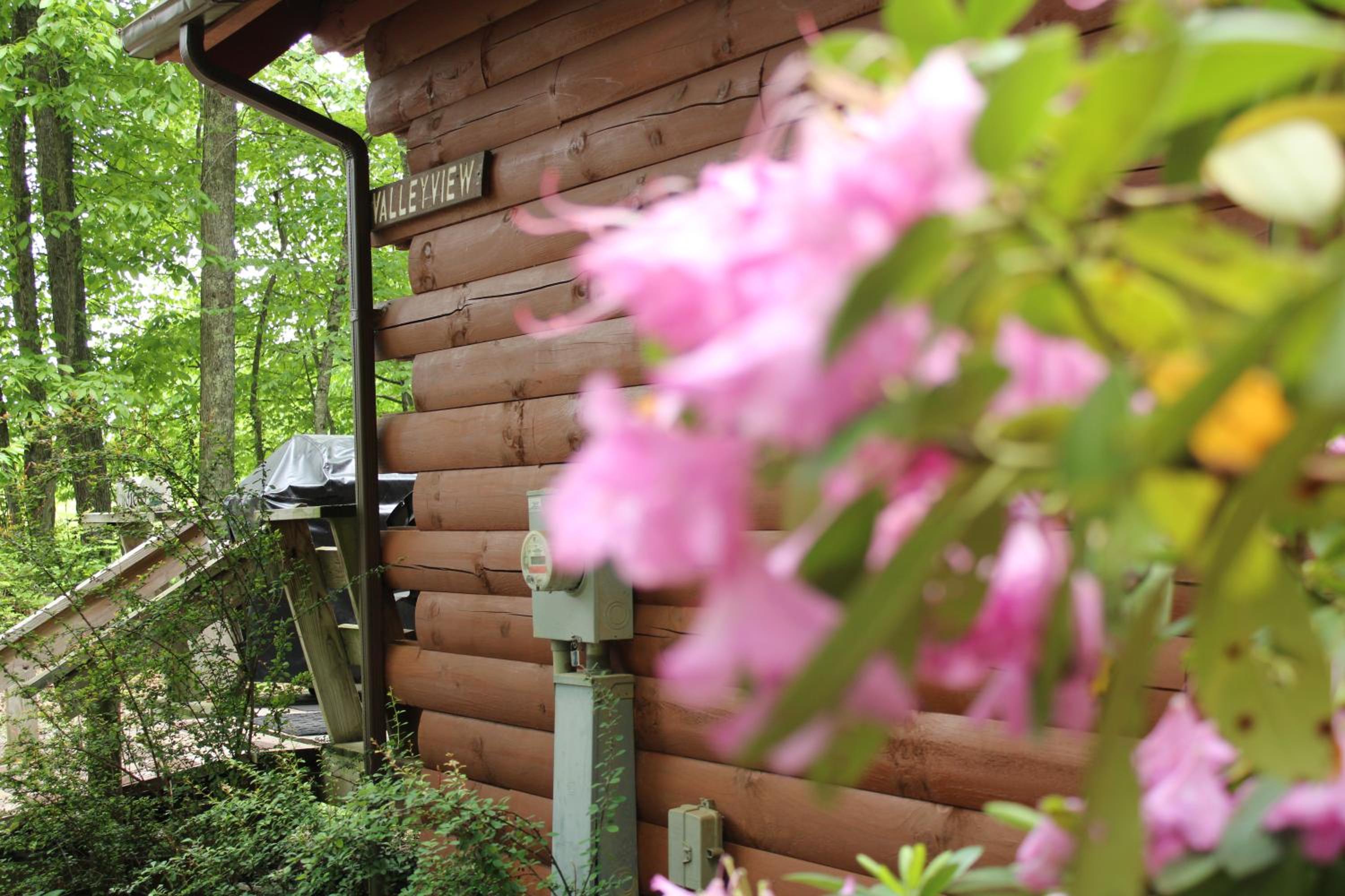 Country Road Cabins
