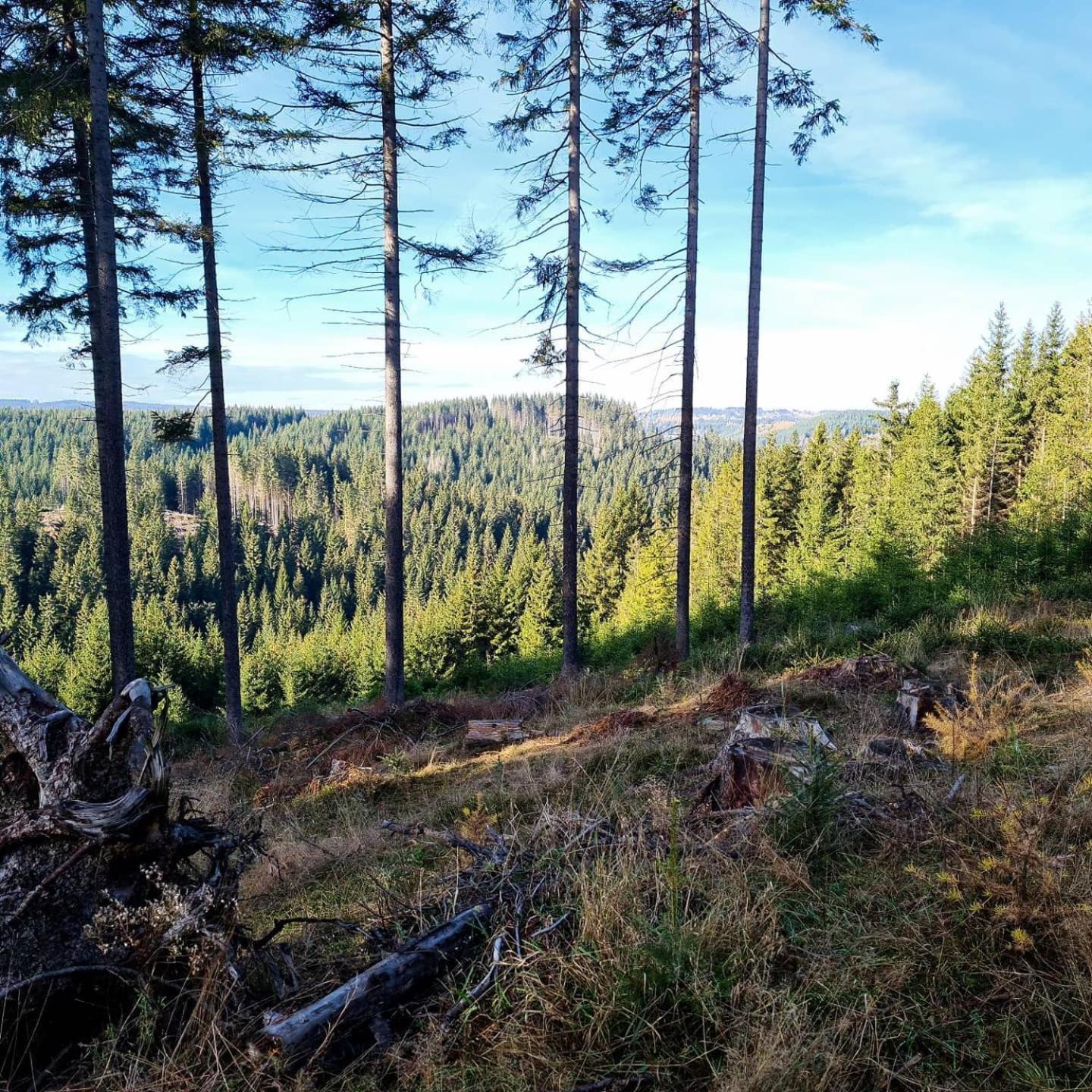 Photo 32