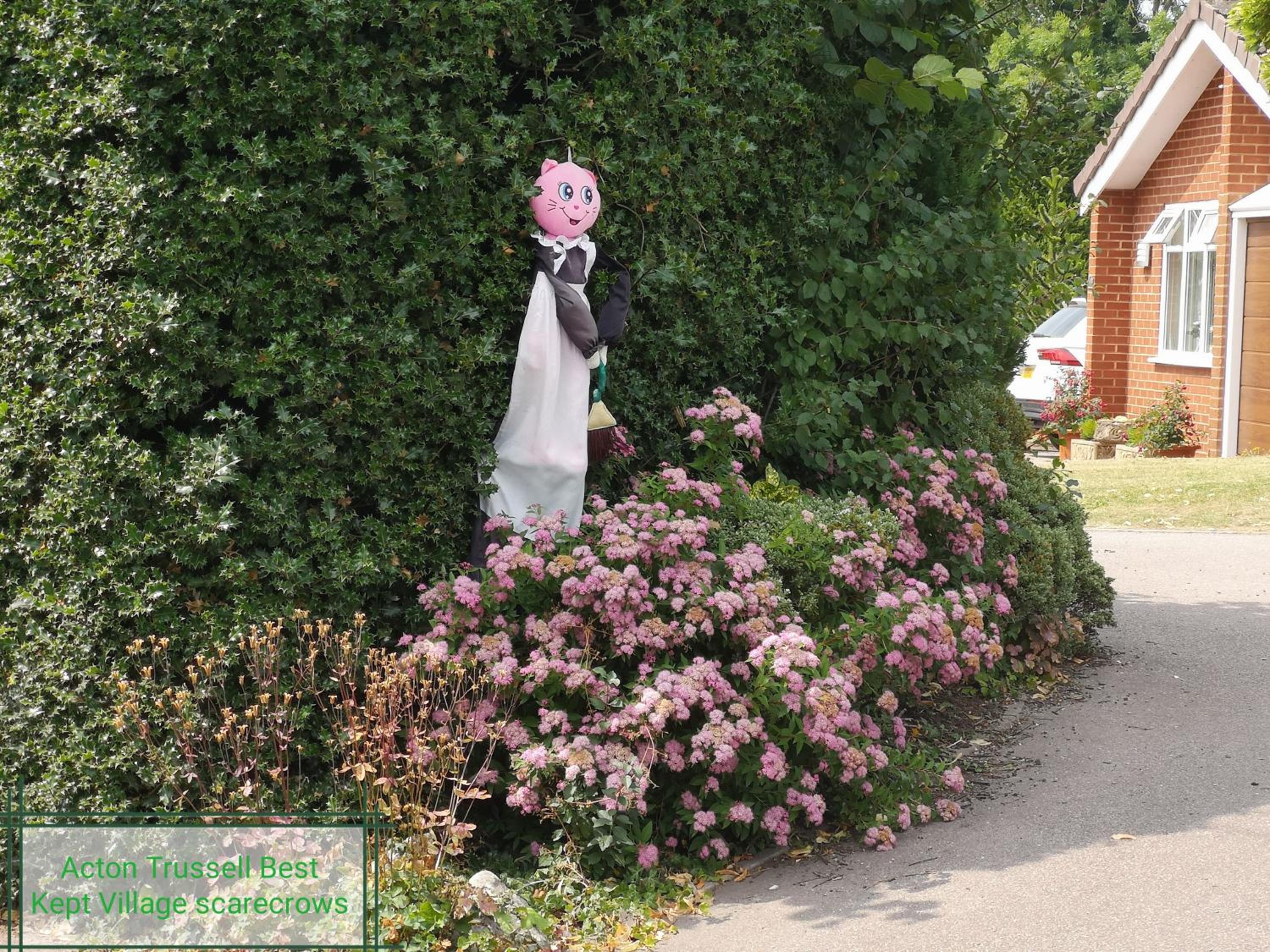 Photo 26
